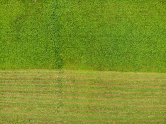 A close-up aerial view of a premium land parcel with clear boundary markings and surrounding greenery.