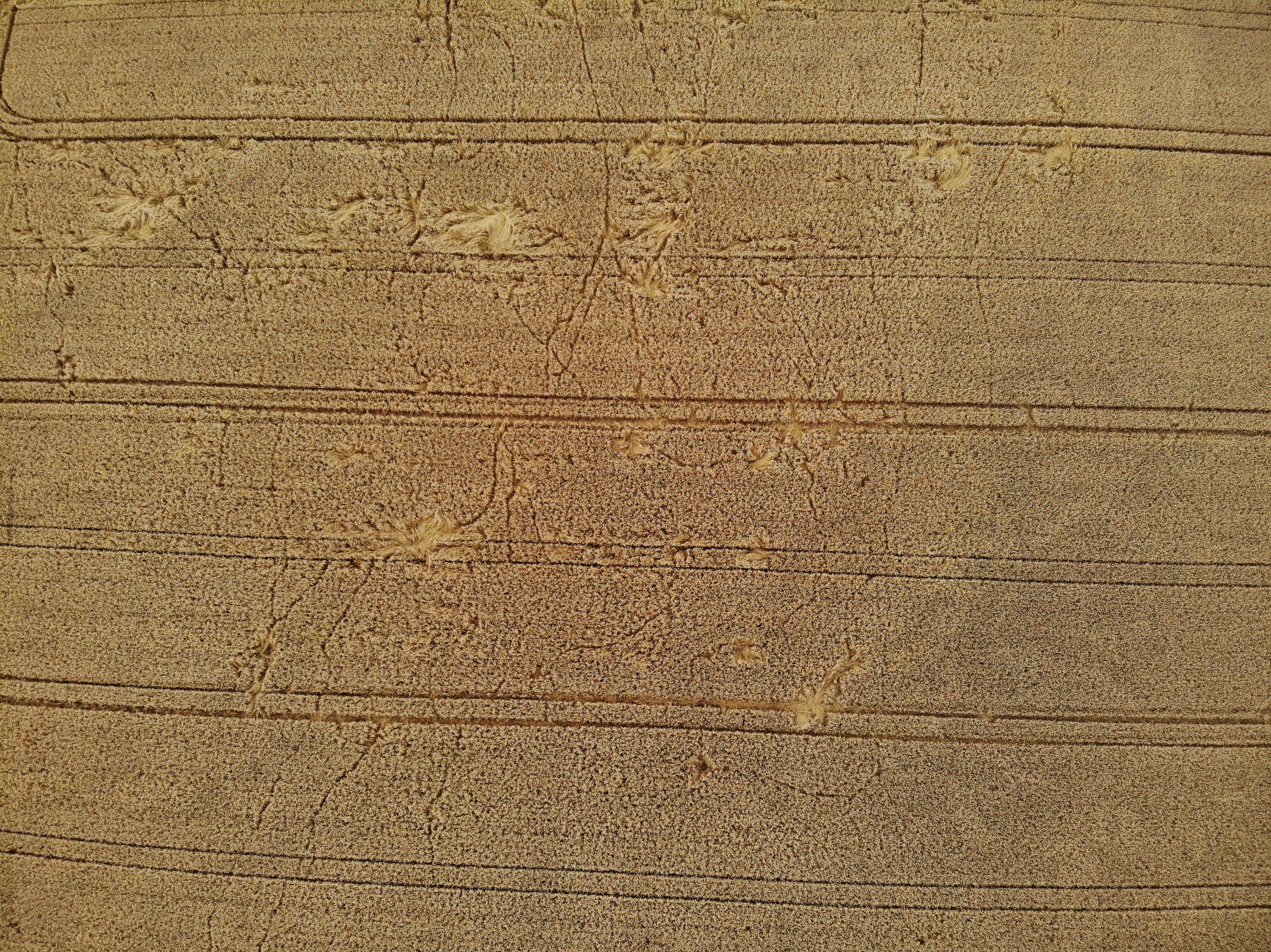 shadow of person on gray concrete wall