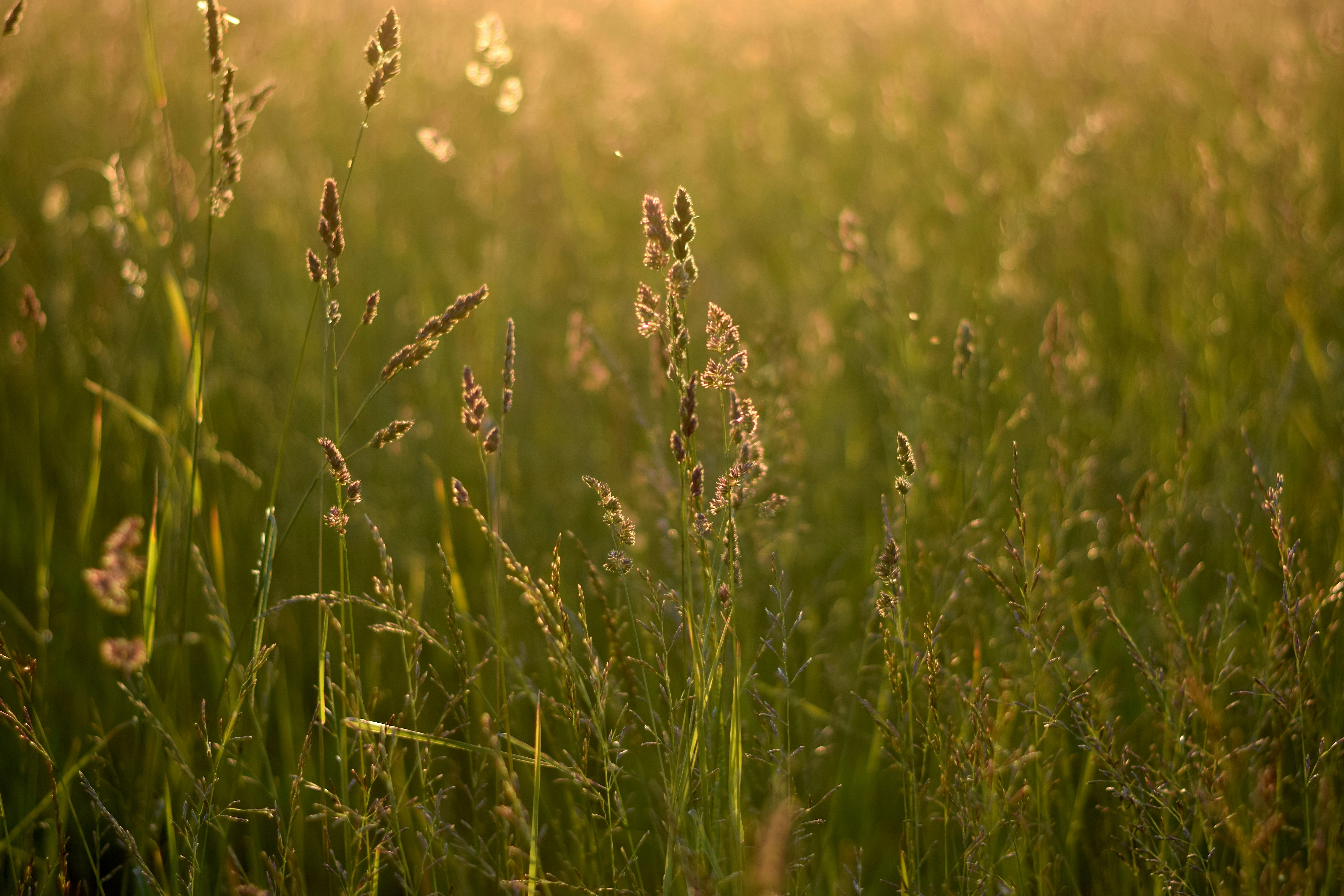 Photo by anatolyramonov