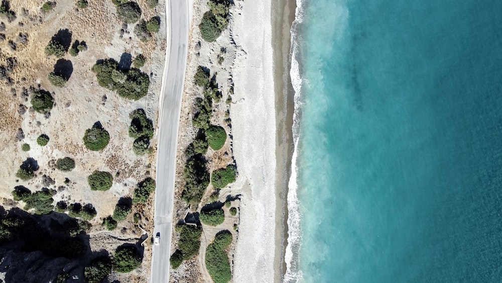 Veduta aerea di alberi verdi e specchio d'acqua durante il giorno