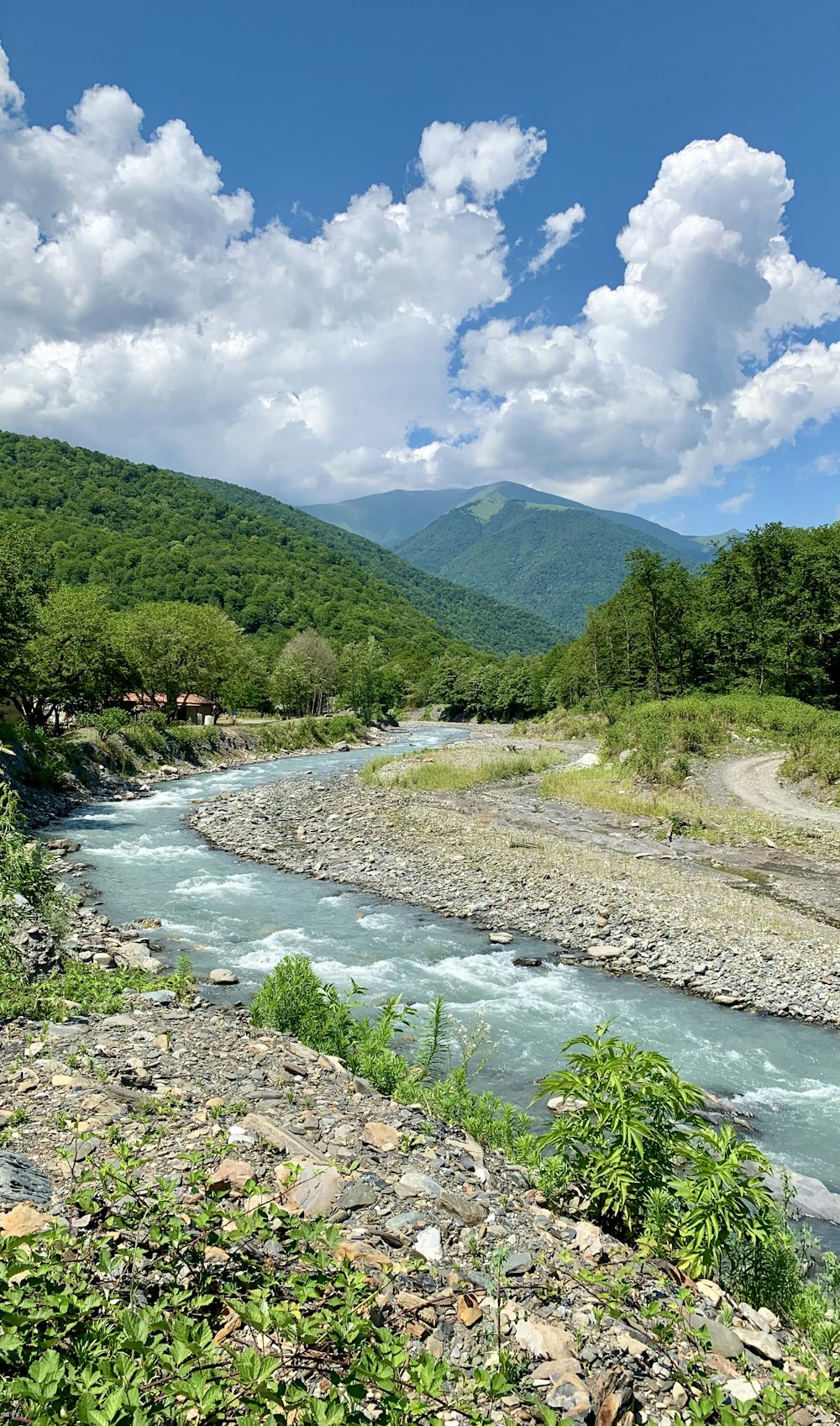 green trees near river under white clouds and blue sky during daytime