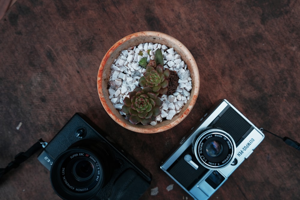 black and silver camera beside green plant on brown wooden table