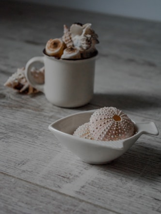 Close-up of a natural tooth powder jar with sea urchin shells around on a wooden table.