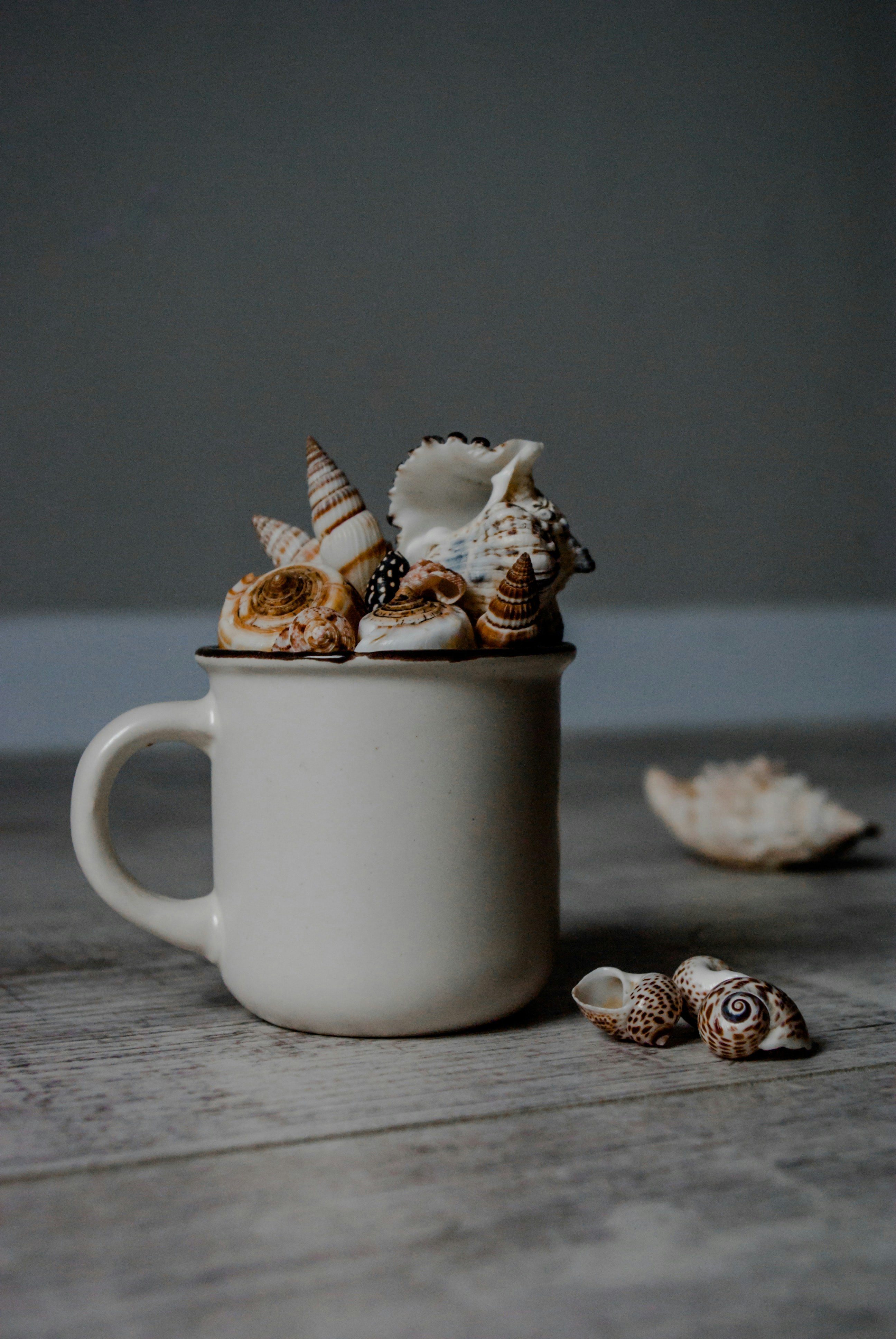 white ceramic mug with brown and white heart shaped cookies