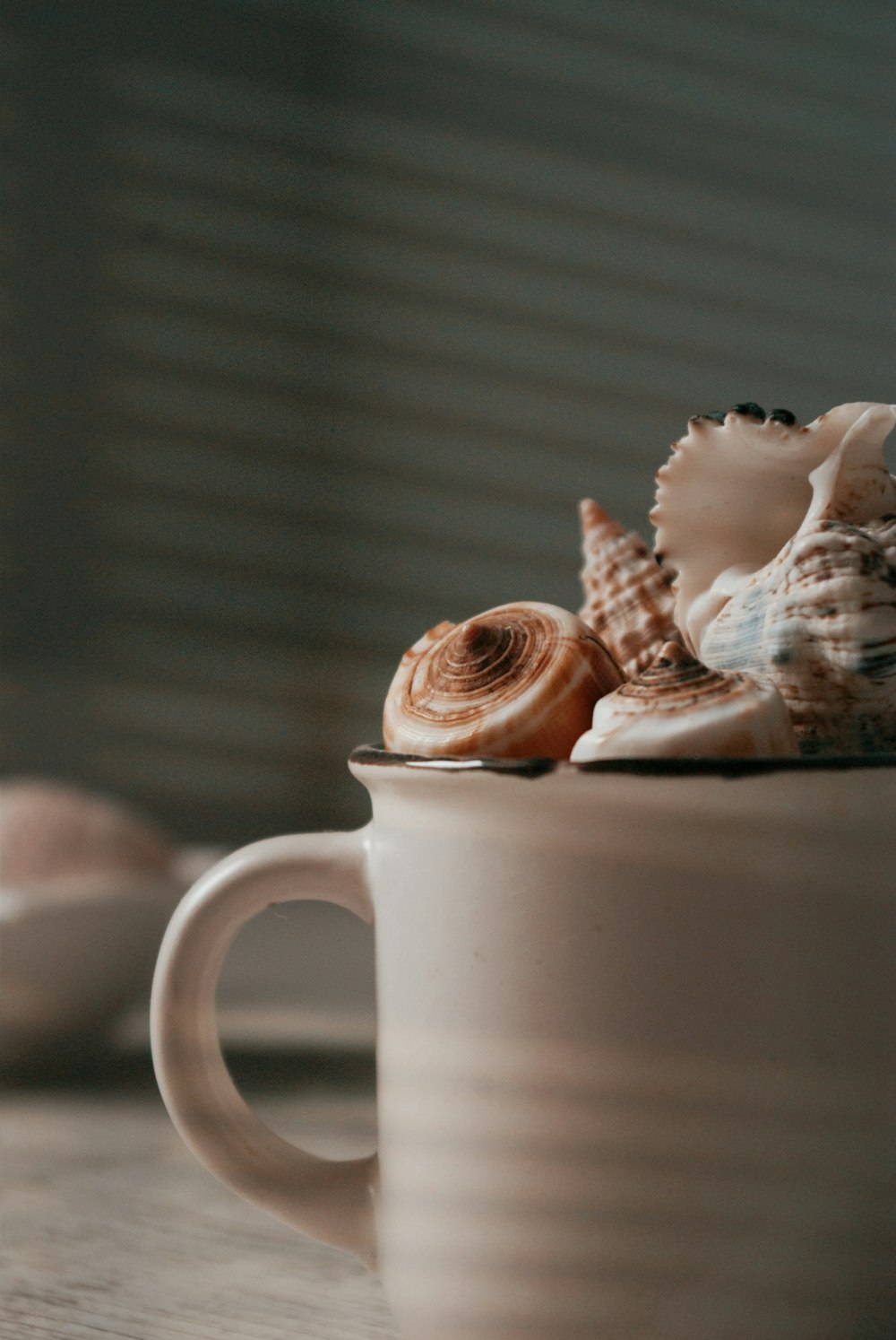 white ceramic mug with brown and white seashell