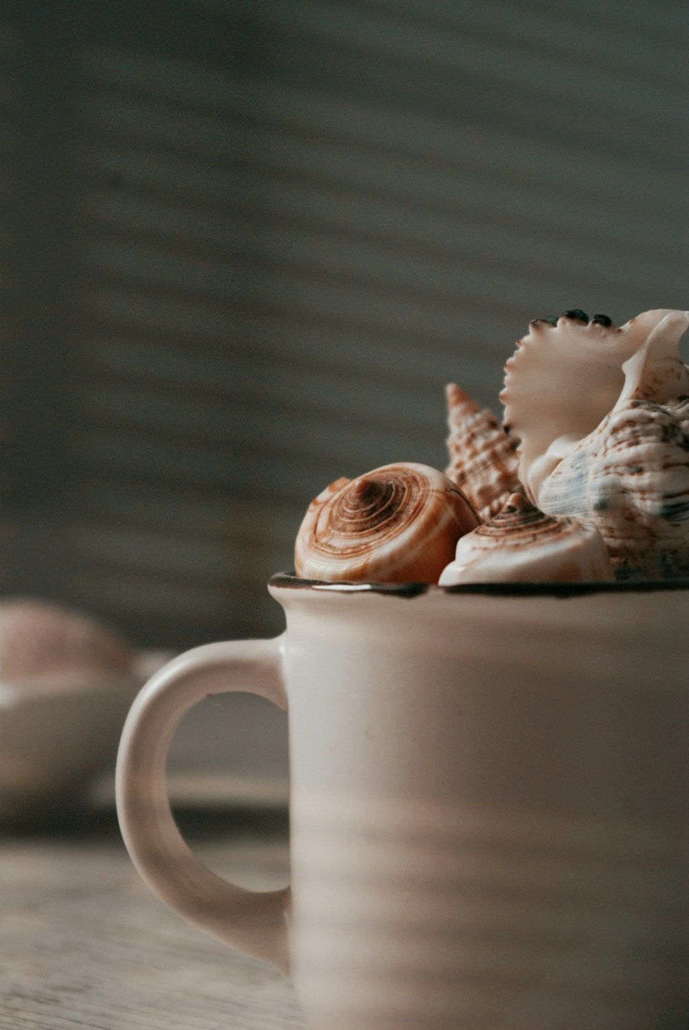 weißer Keramikbecher mit brauner und weißer Muschel