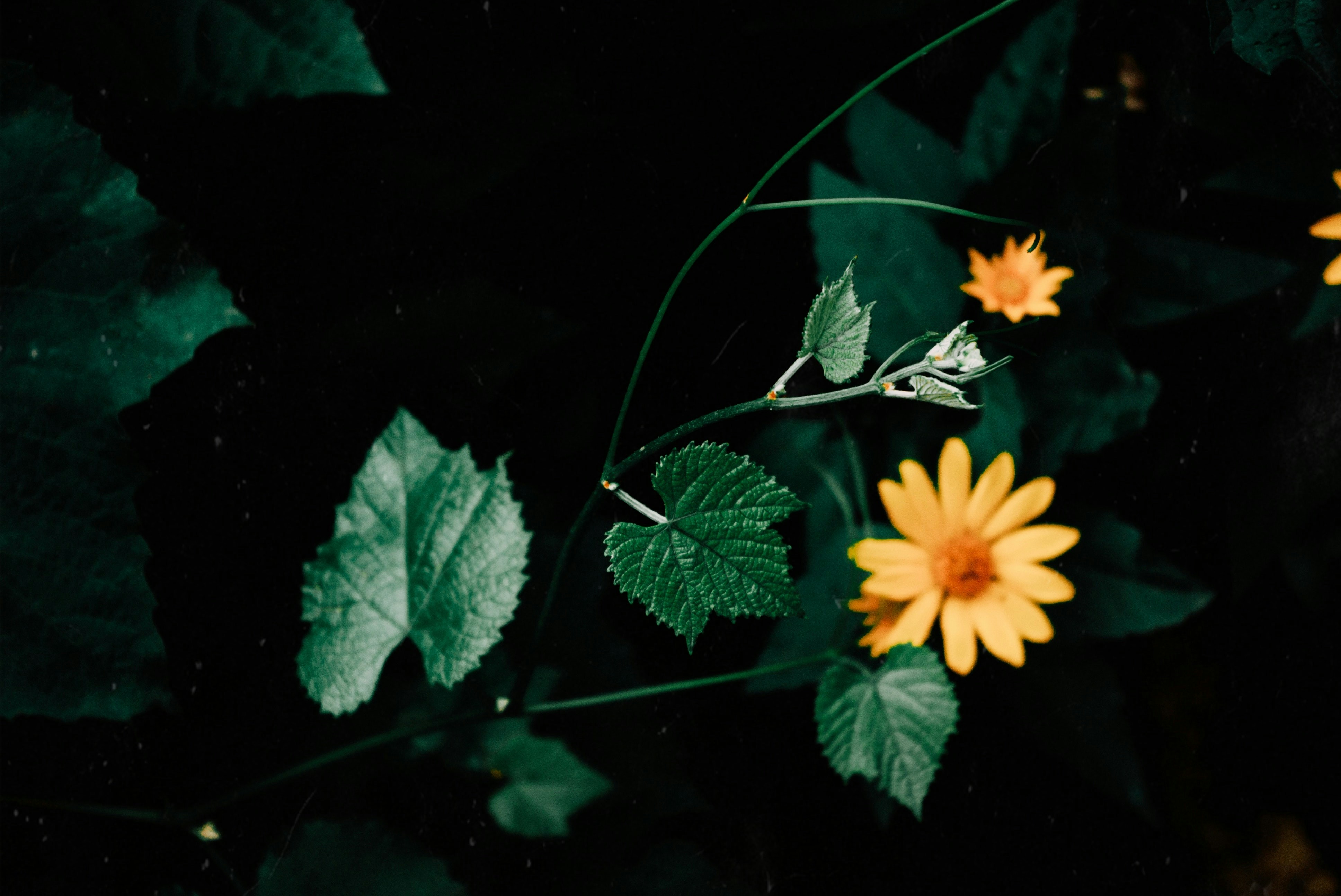 Photo by moonmoons_days