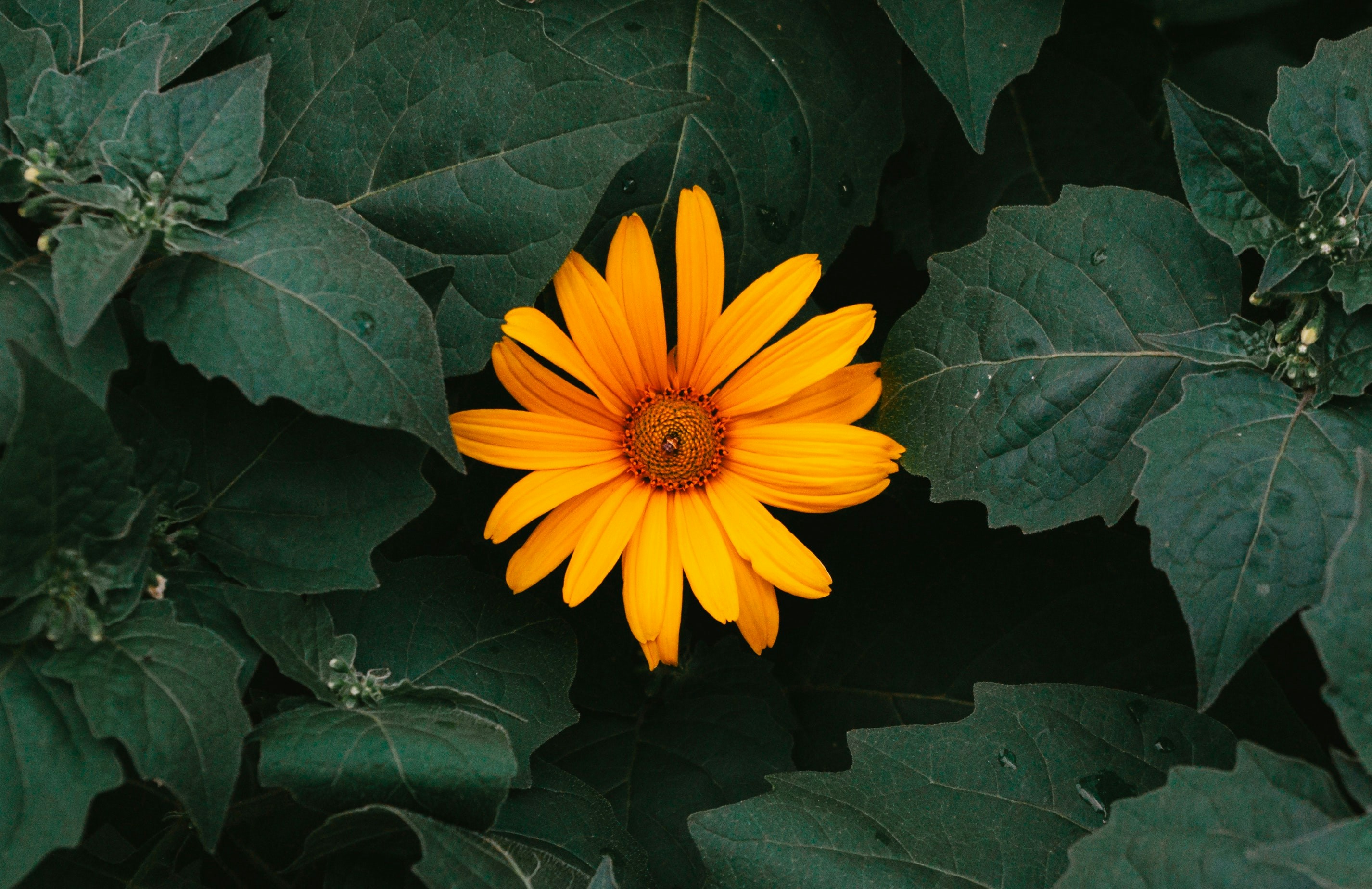 Photo by moonmoons_days