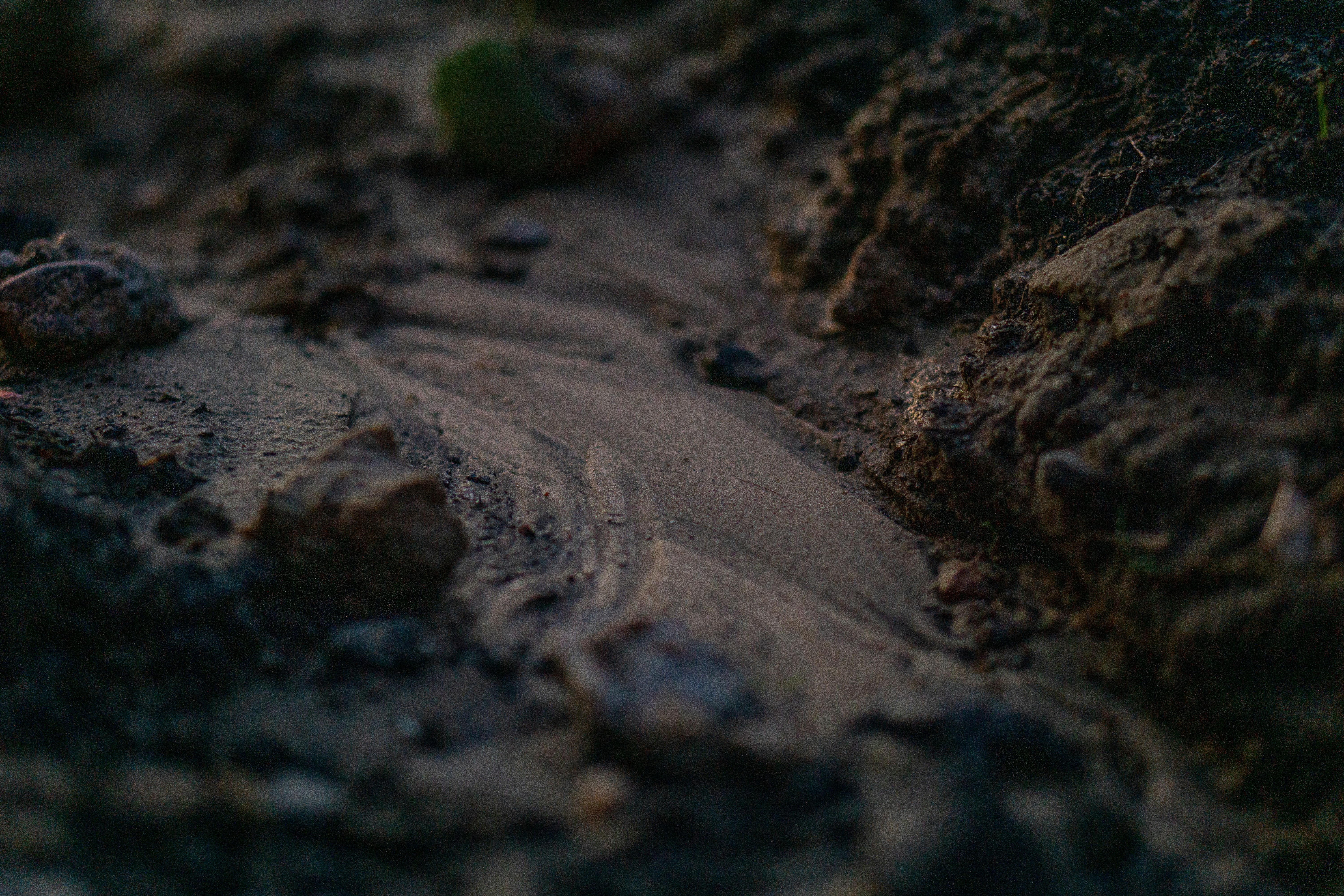 Photo by sonysnaper