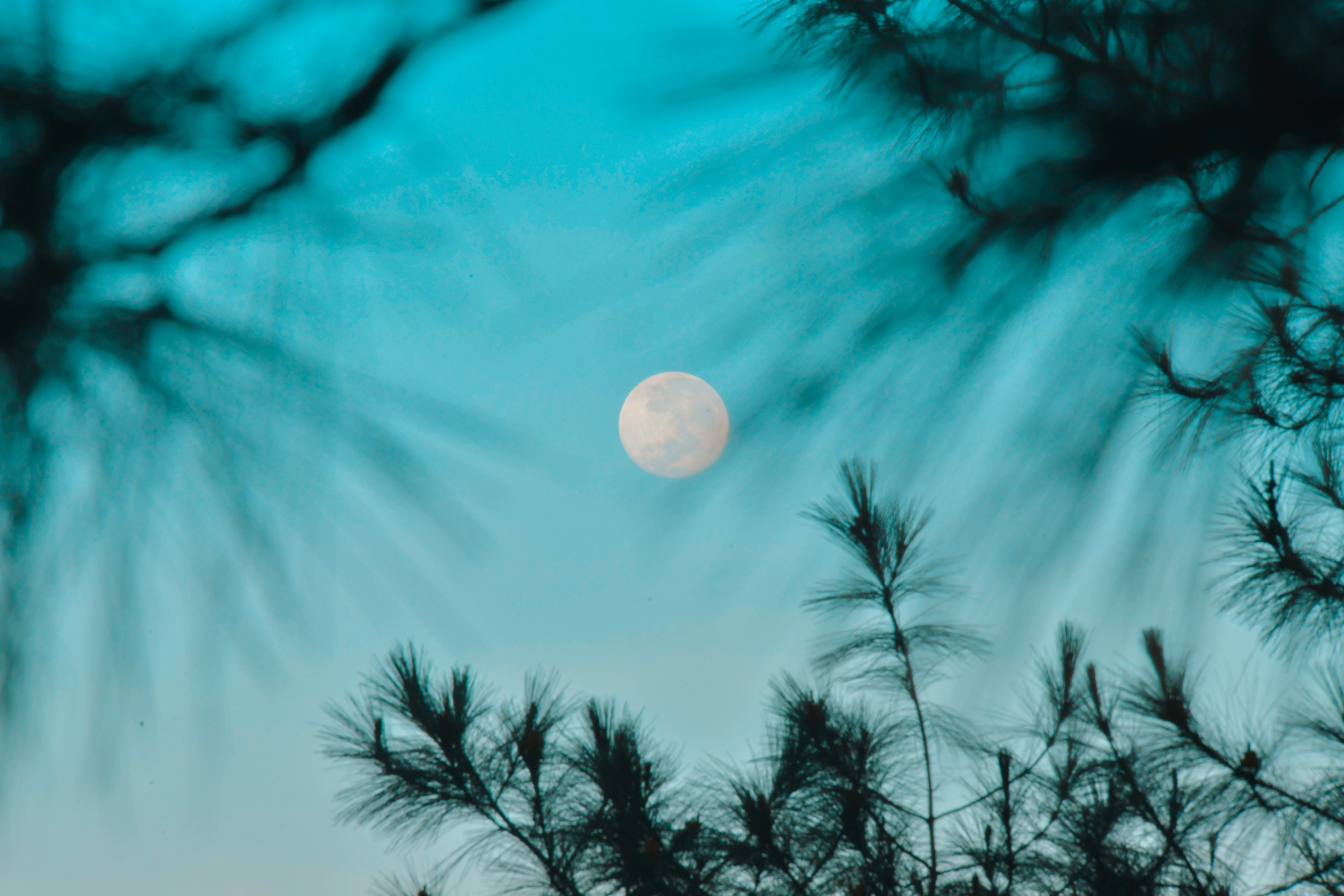 Photo by airlanggajati