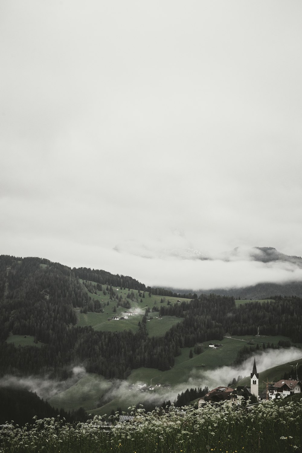 green trees under white clouds during daytime