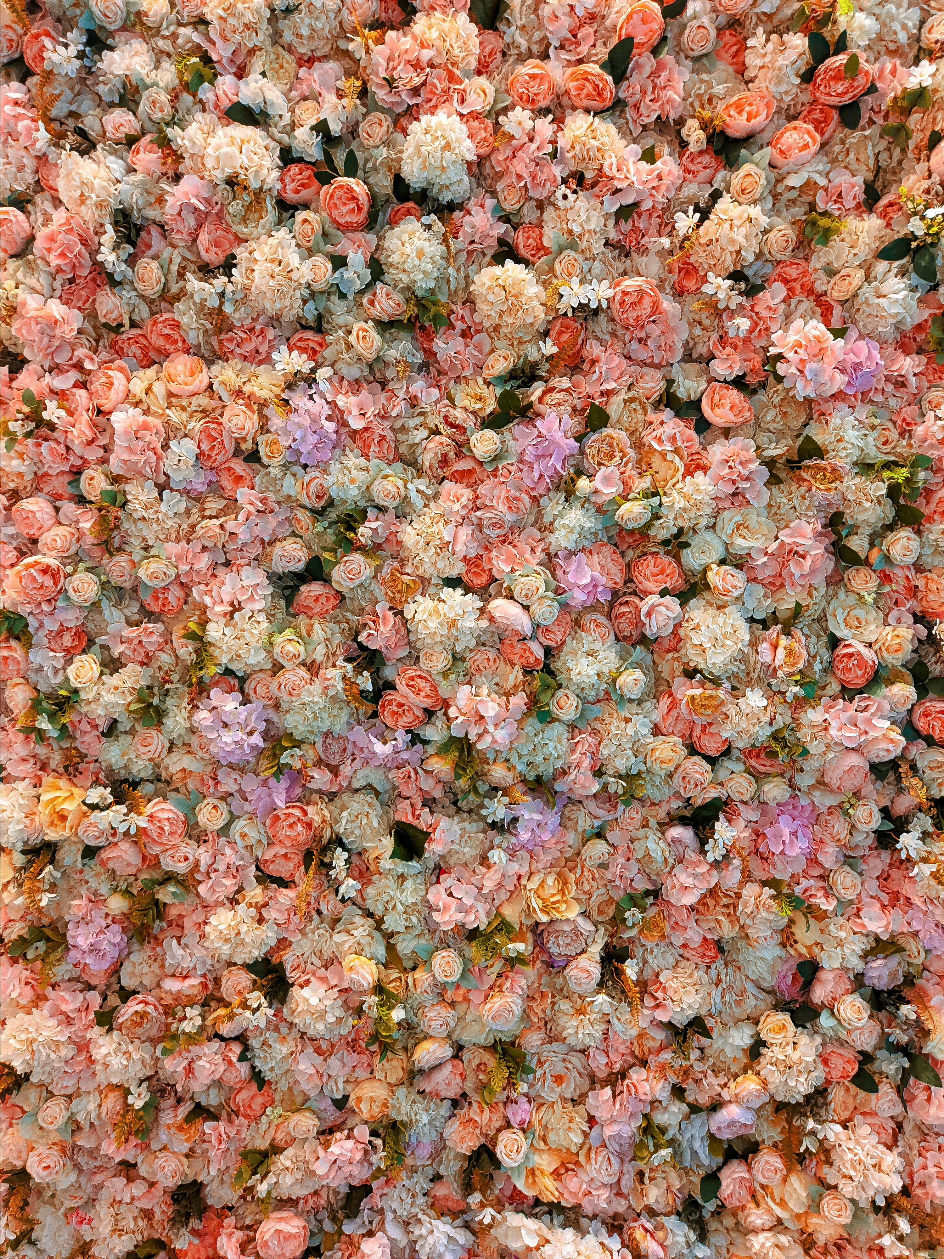 person in black shoes standing on brown and white stones