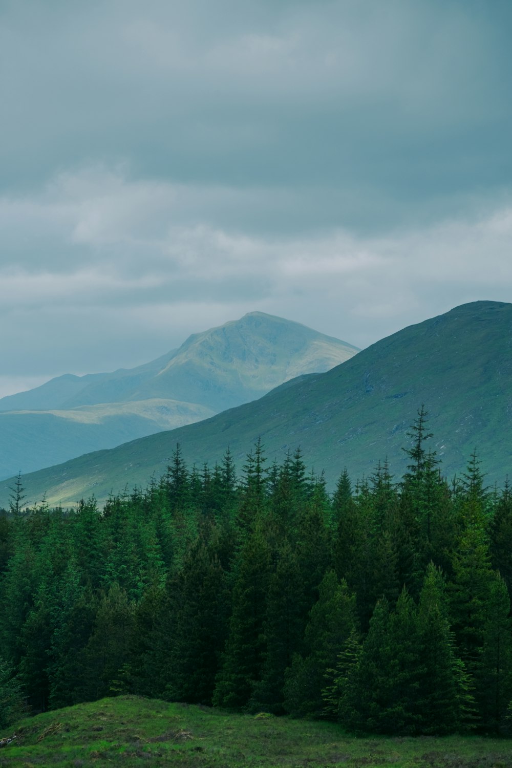 green pine trees near mountain under white clouds during daytime