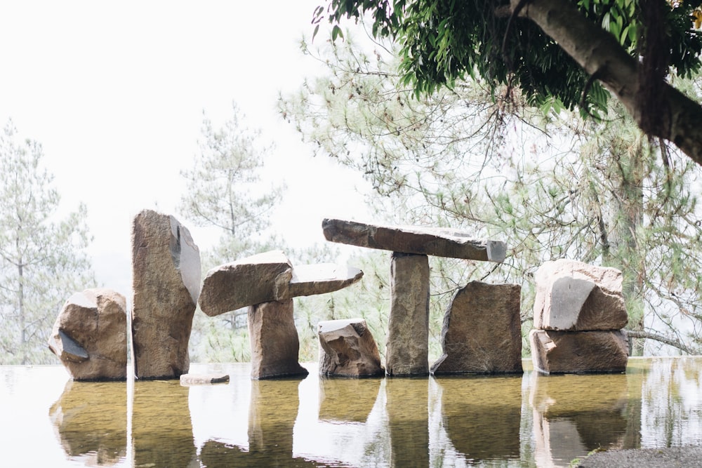 Piedra marrón cerca del cuerpo de agua durante el día