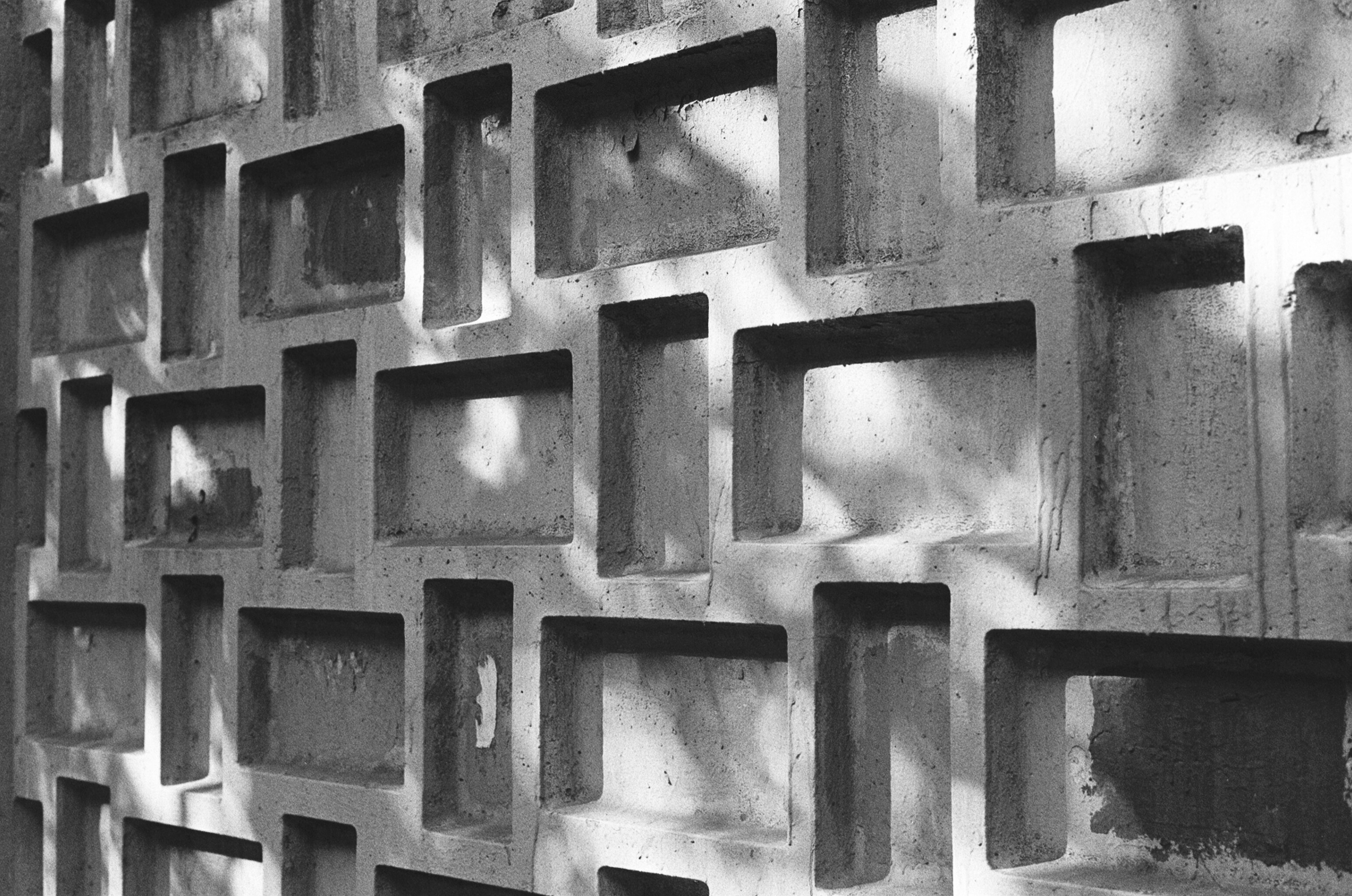 Photo by musicismybestfriend