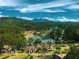 people walking on park near green trees and mountain during daytime