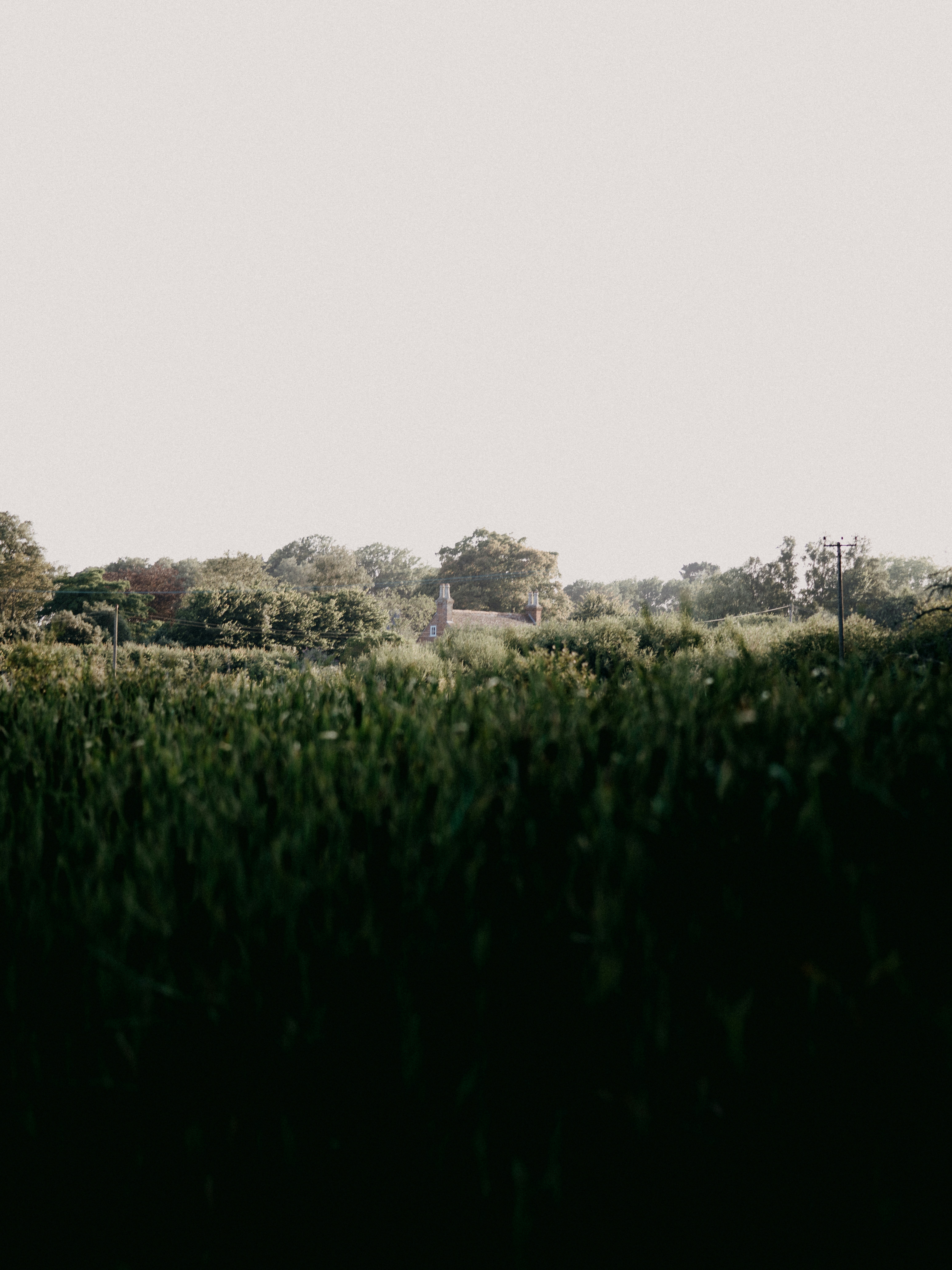 Photo by anniespratt