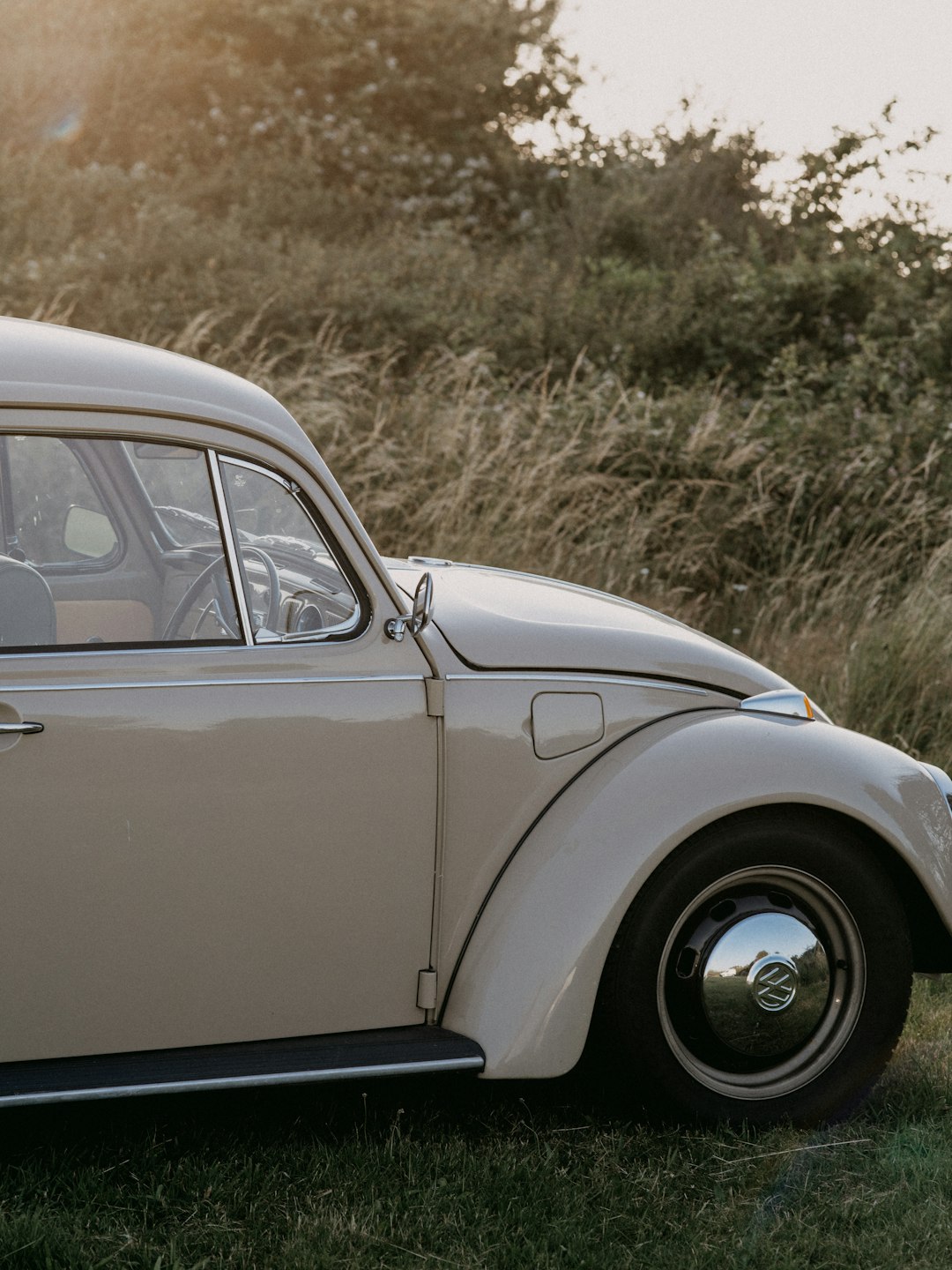 white volkswagen beetle on brown field during daytime