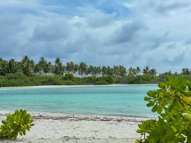 A peaceful beach with turquoise waters and a traveler relaxing under a palm tree.