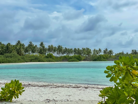A serene beach scene with clear turquoise waters gently meeting a white sandy shore. Lush green foliage and palm trees line the horizon under a sky filled with scattered clouds.