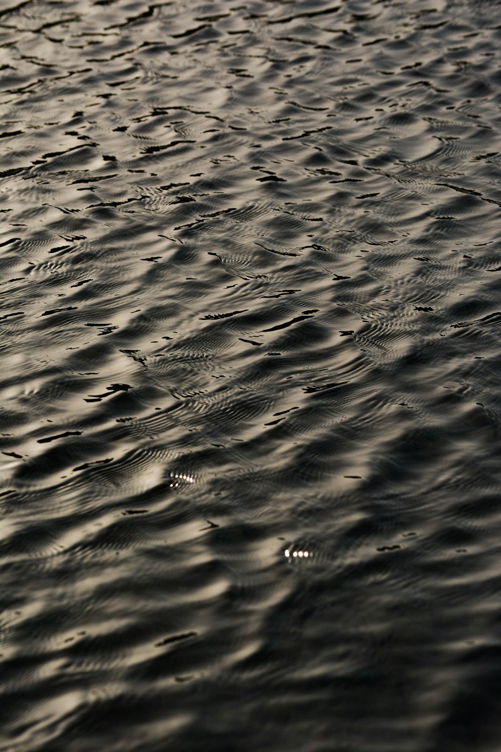 brown sand in the water