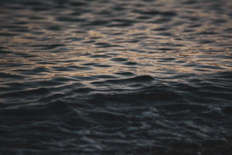 Close-up of water ripples with soft sandy tones in the background.