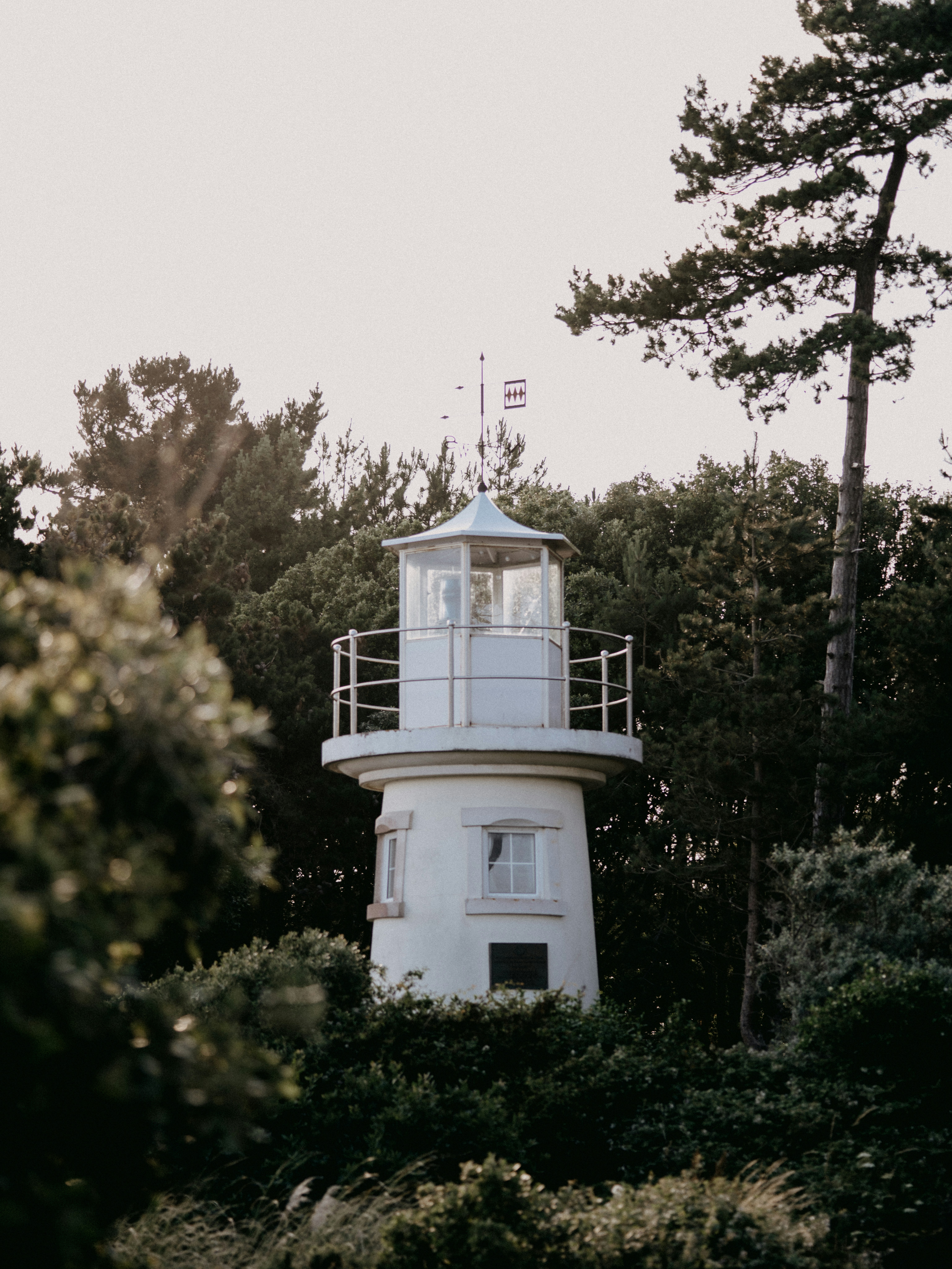 Photo by anniespratt