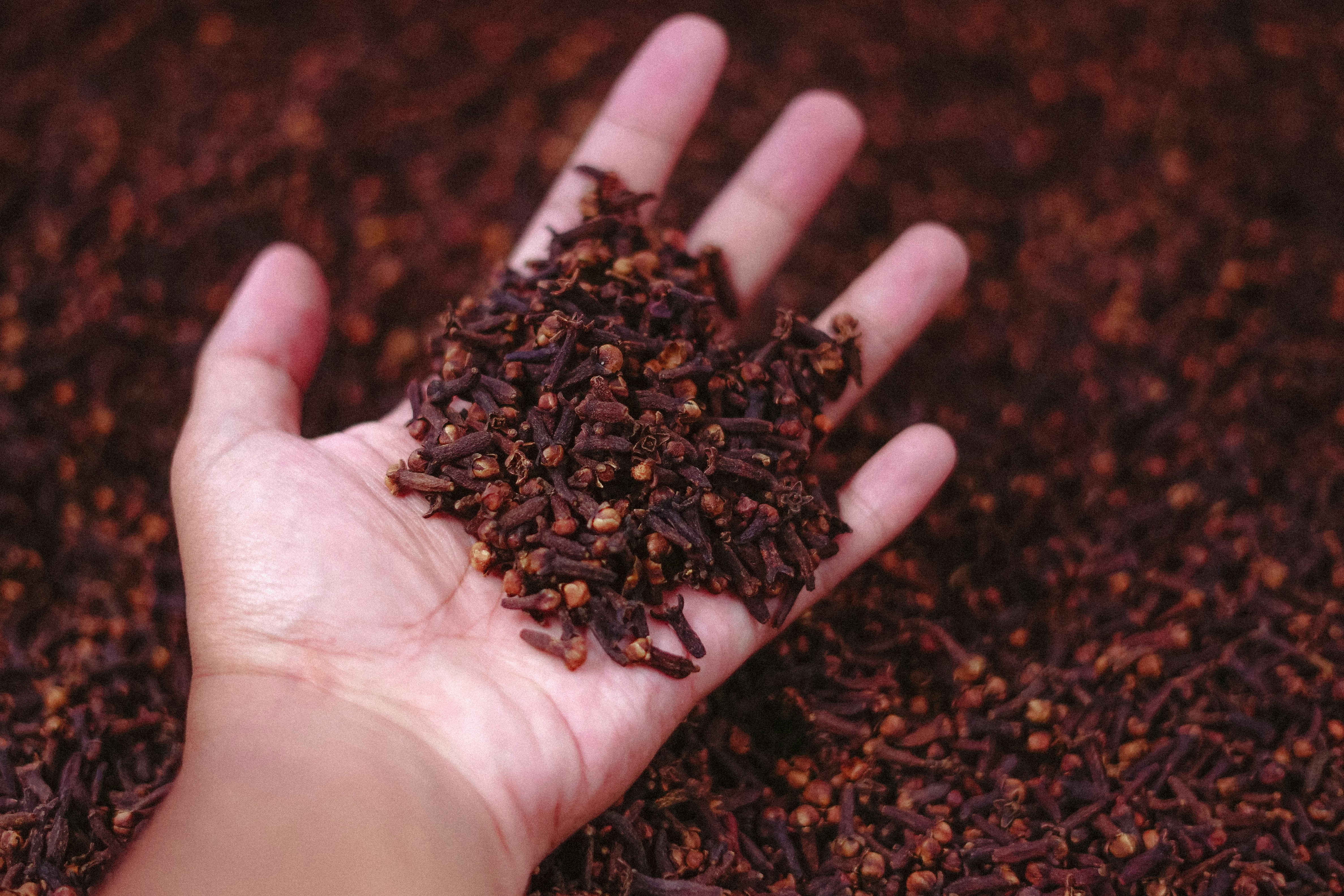 What Happens To Your Body When You Eat Cloves Every Day