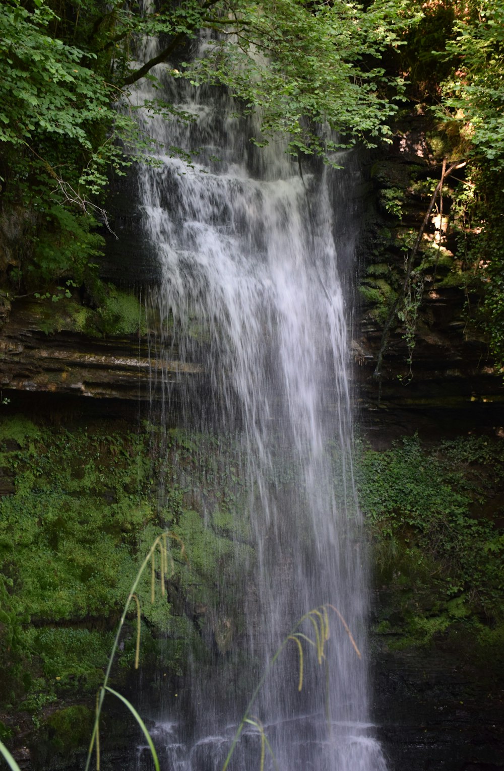 water falls in the middle of green grass field