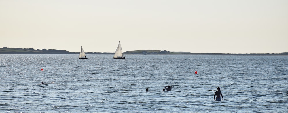 white sail boat on sea during daytime