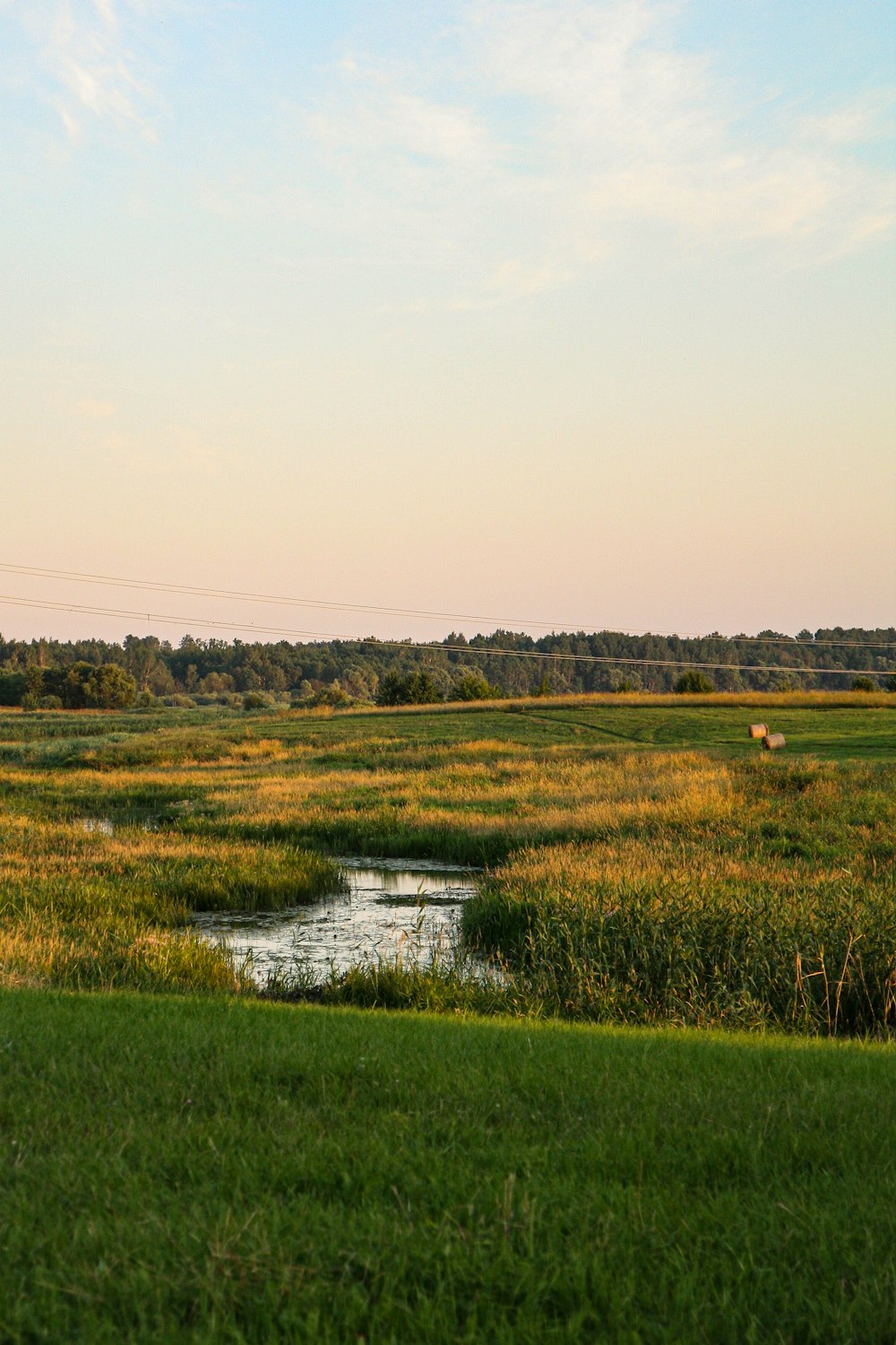 green grass field near lake under blue sky during daytime