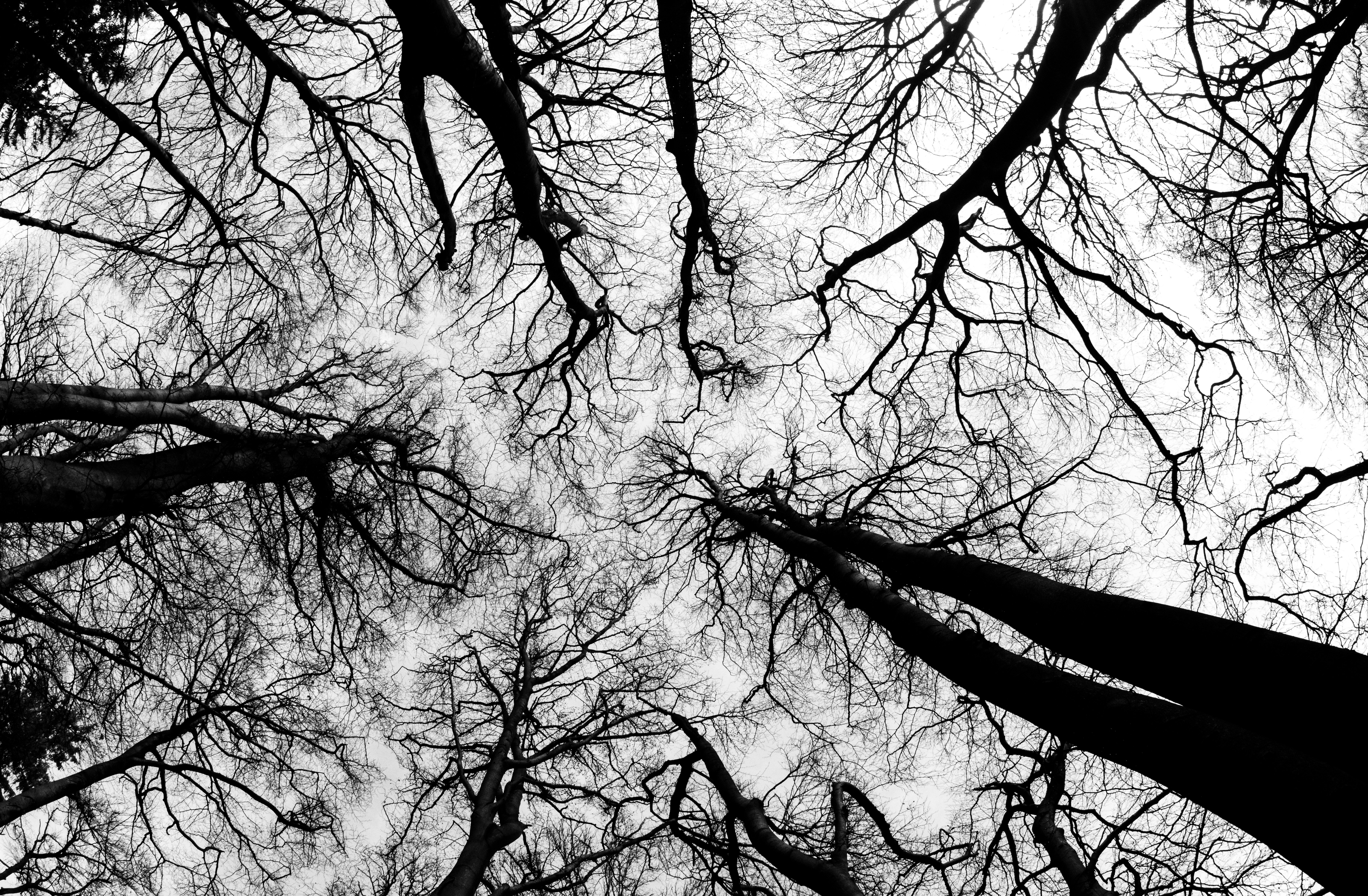 Photo by wilhelmgunkel