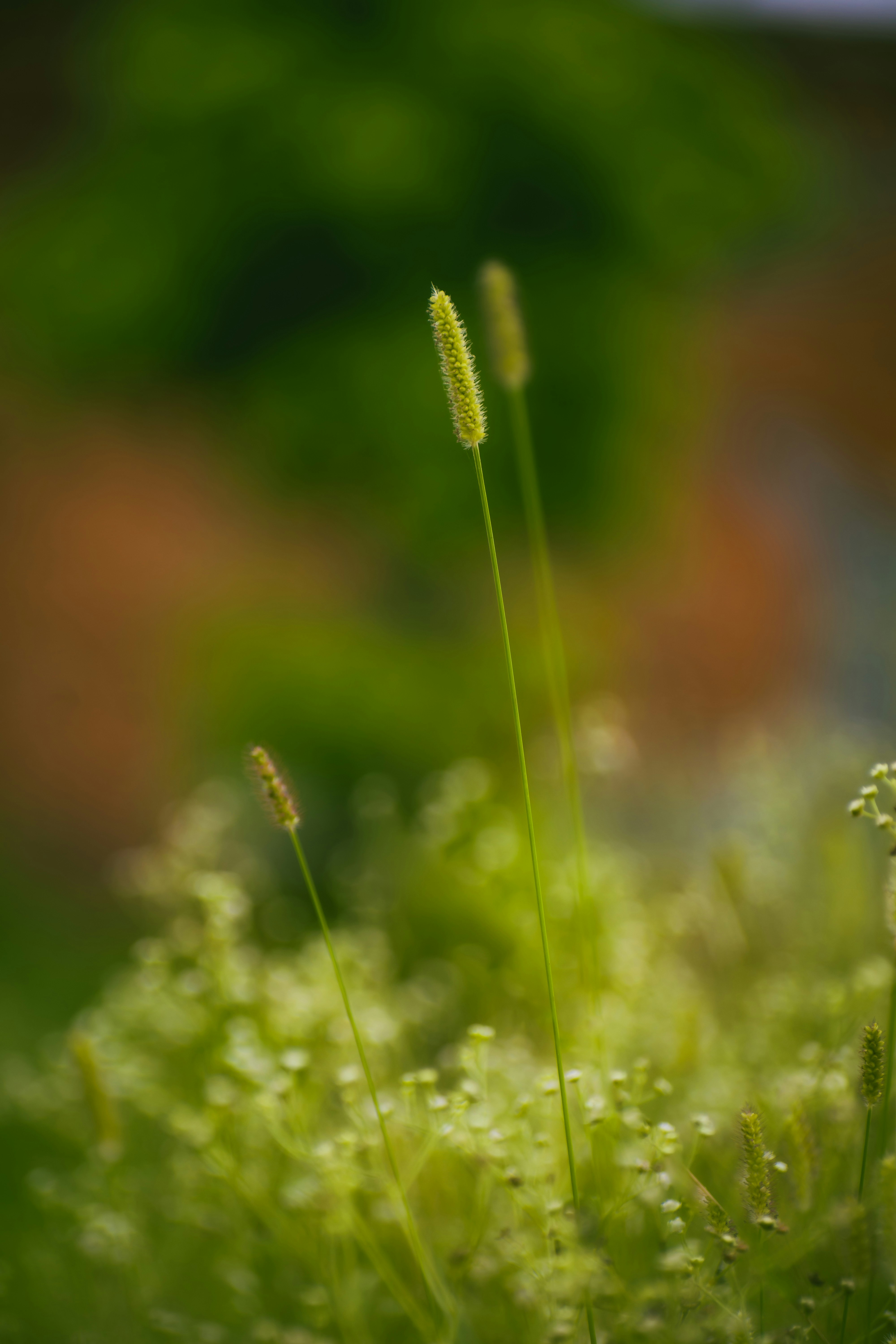 Photo by baraikshivam22