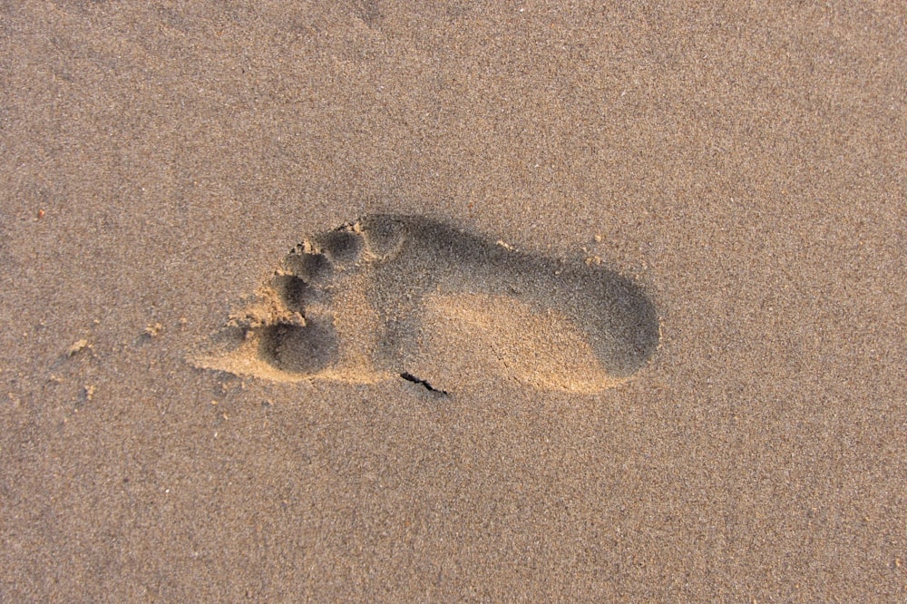 brown sand with foot prints