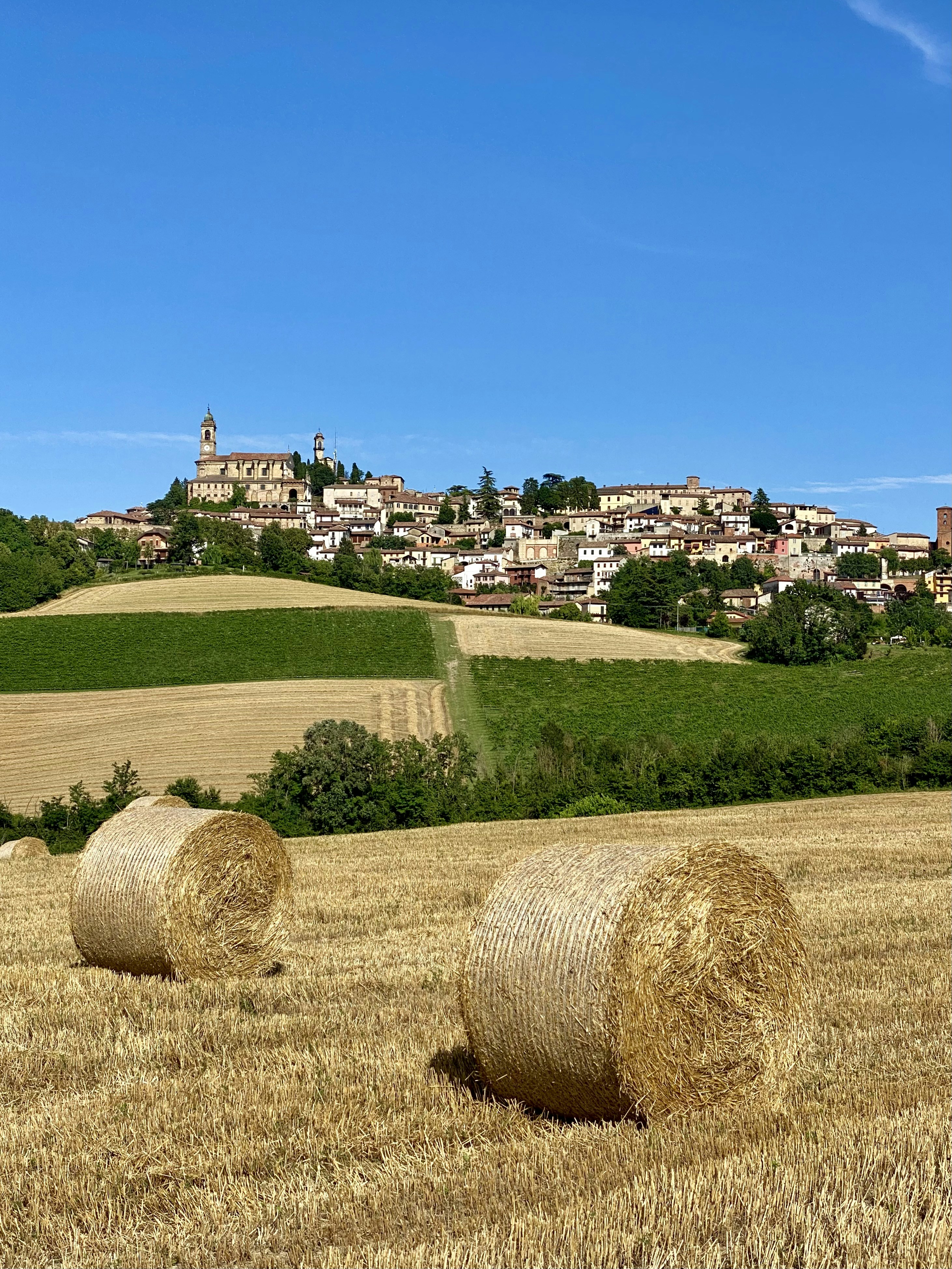 Brown grass field under blue sky during daytime photo – Free Vignale ...
