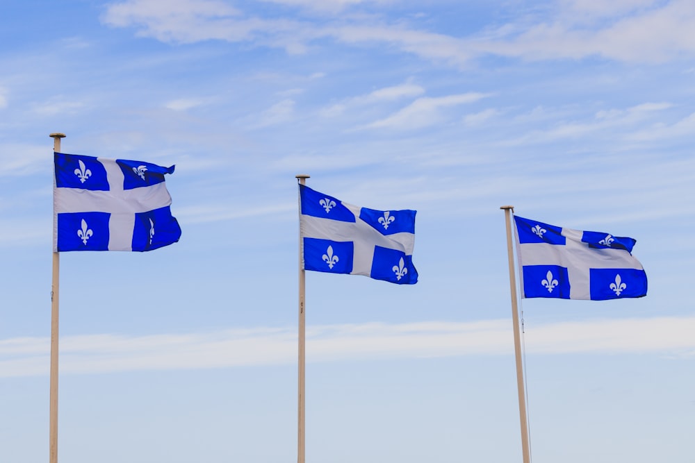 blue and white flag on pole under white clouds and blue sky during daytime