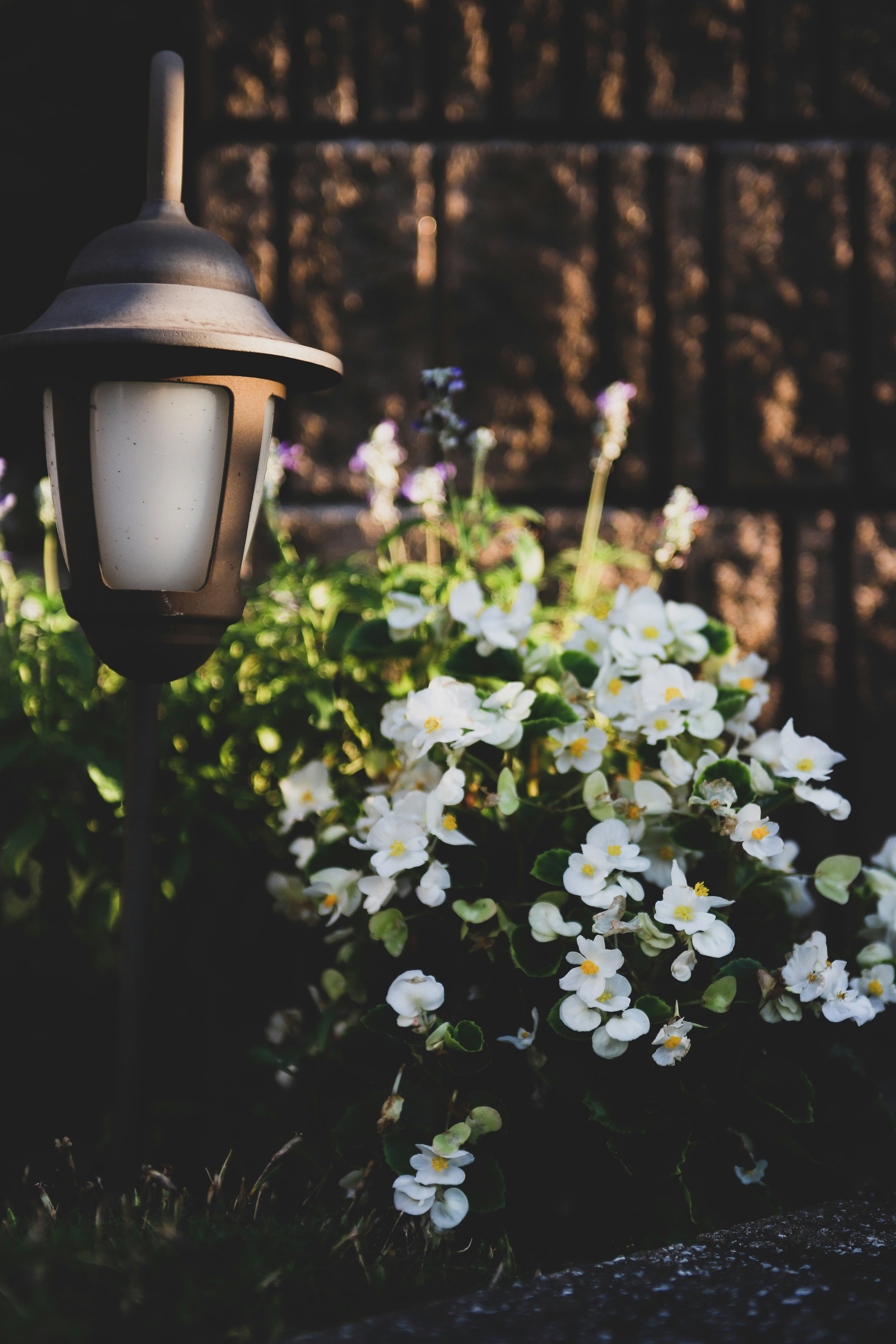 Photo by tiendat4393