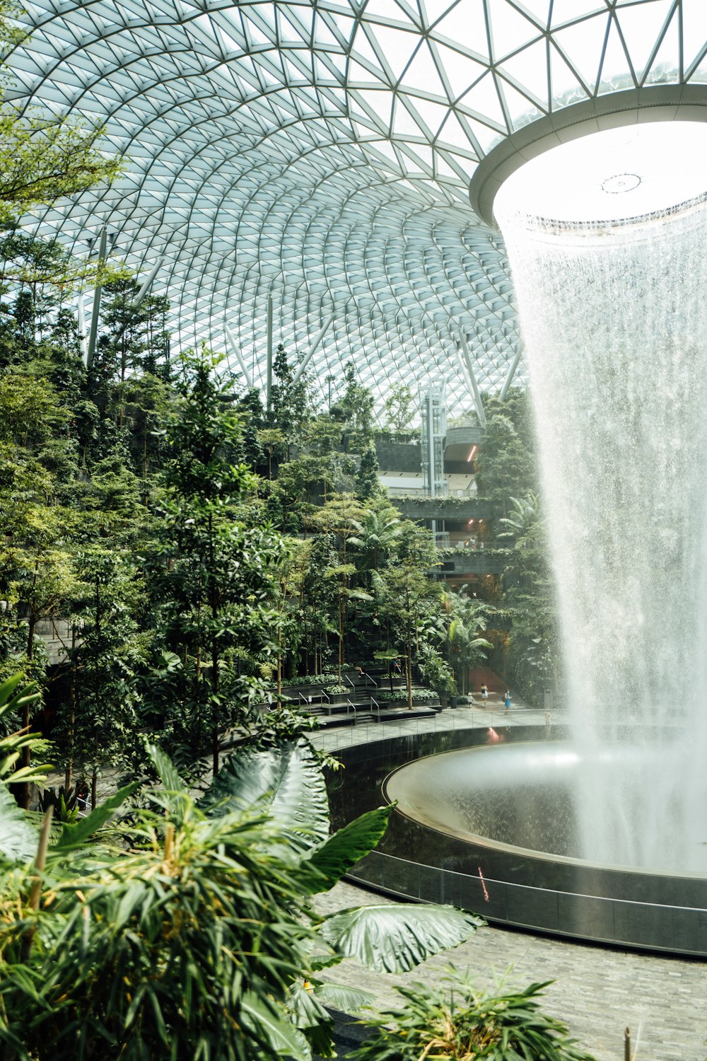 Grüne Bäume in der Nähe des Wasserbrunnens