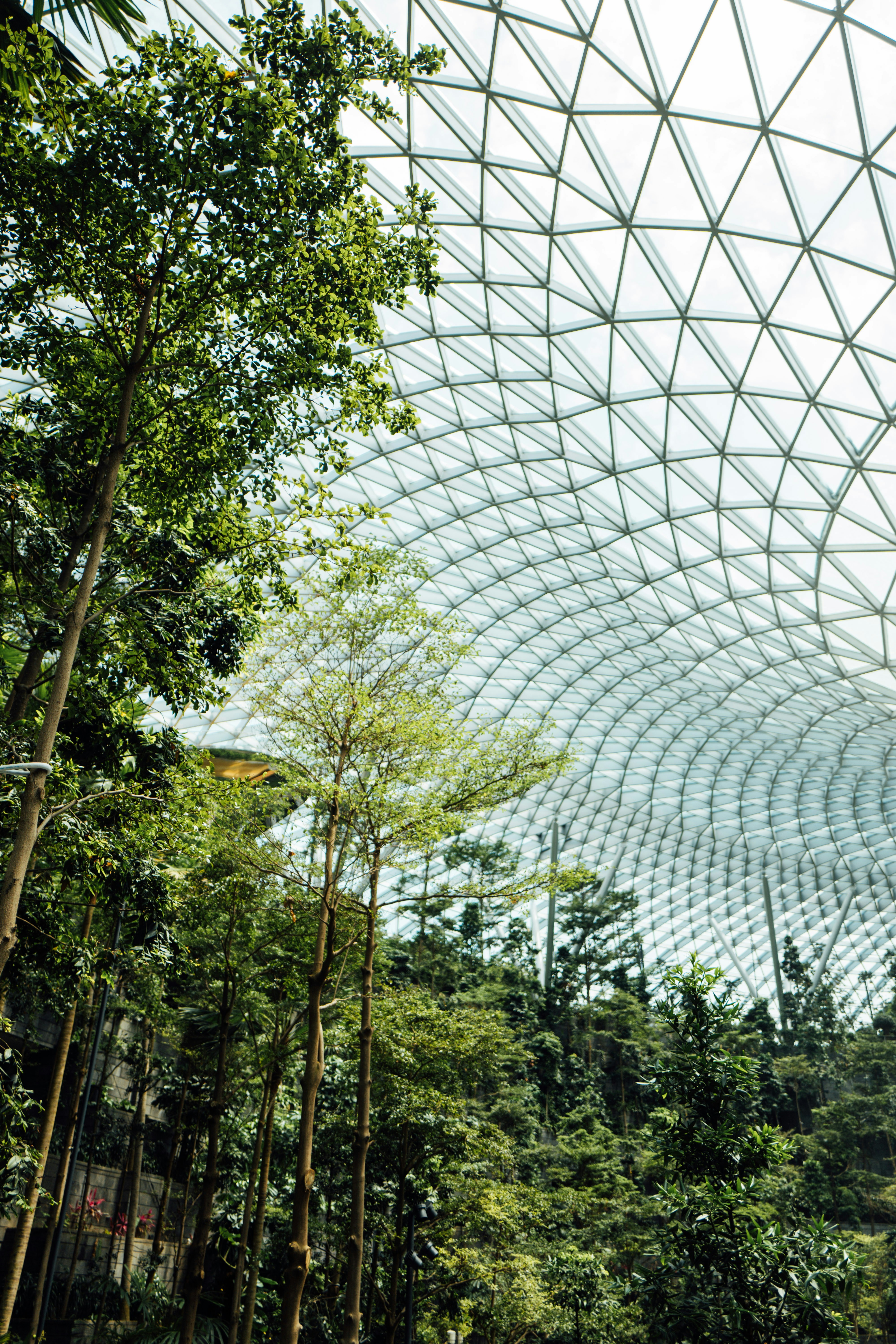 Photo by chuttersnap