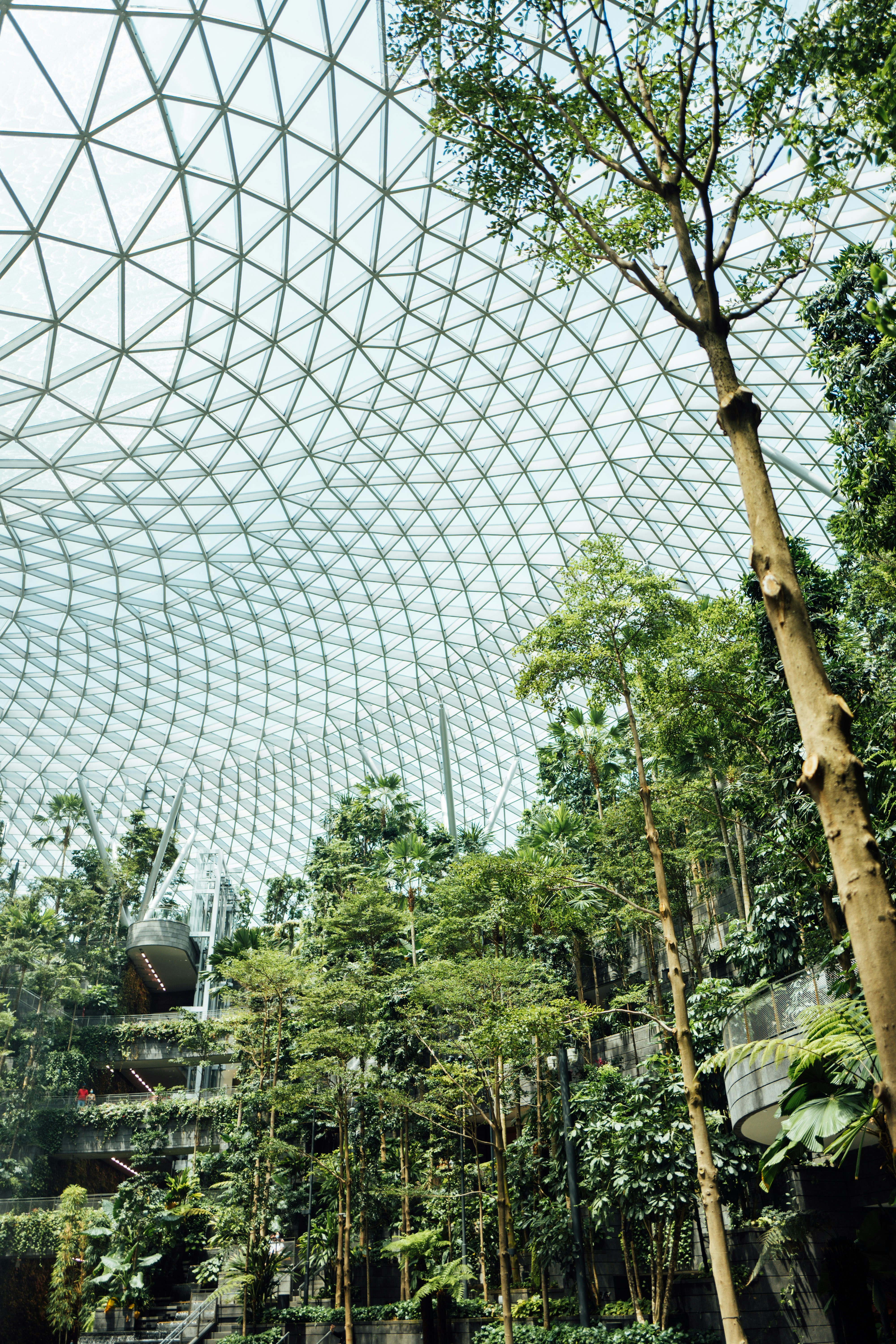 Photo by chuttersnap