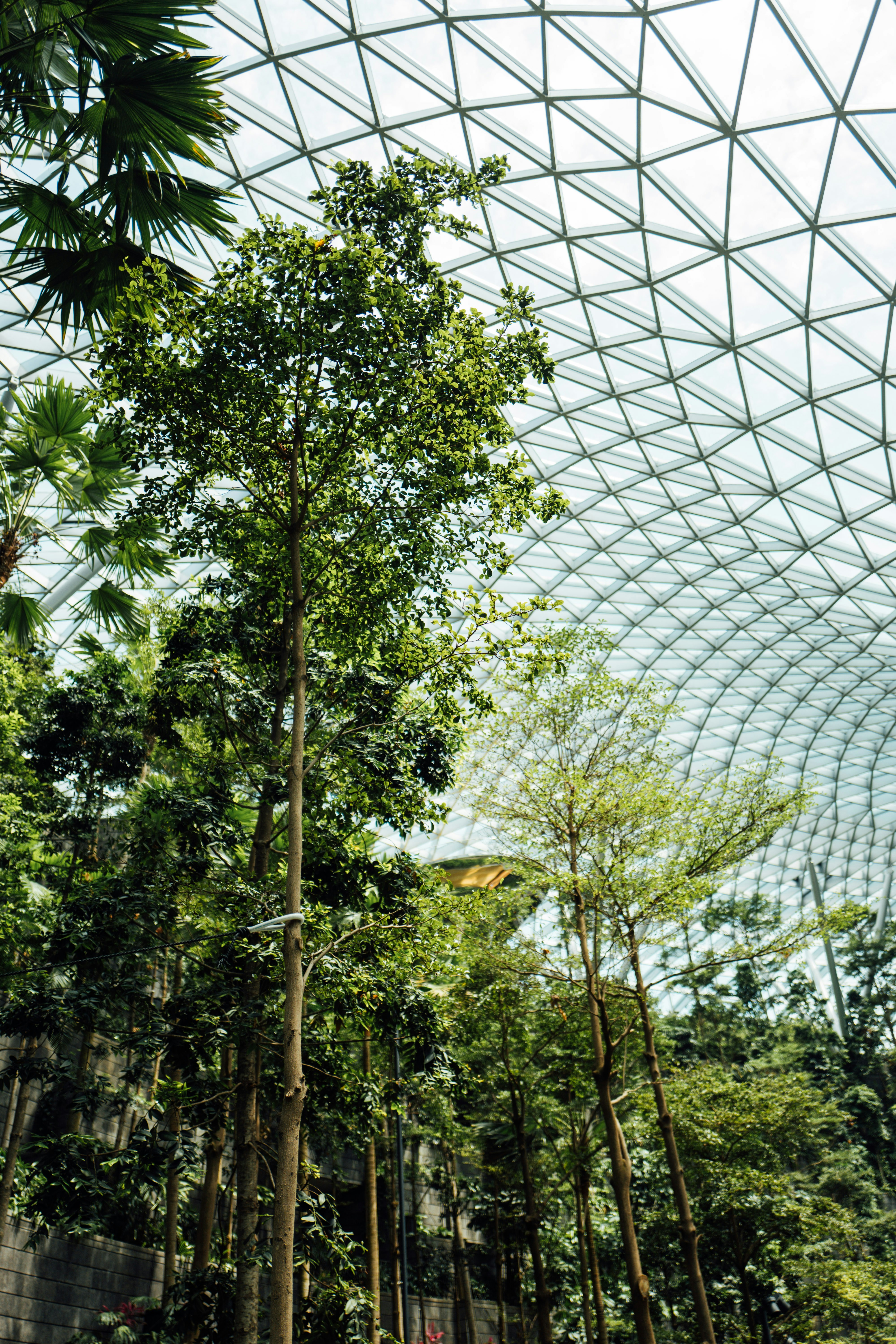 Photo by chuttersnap