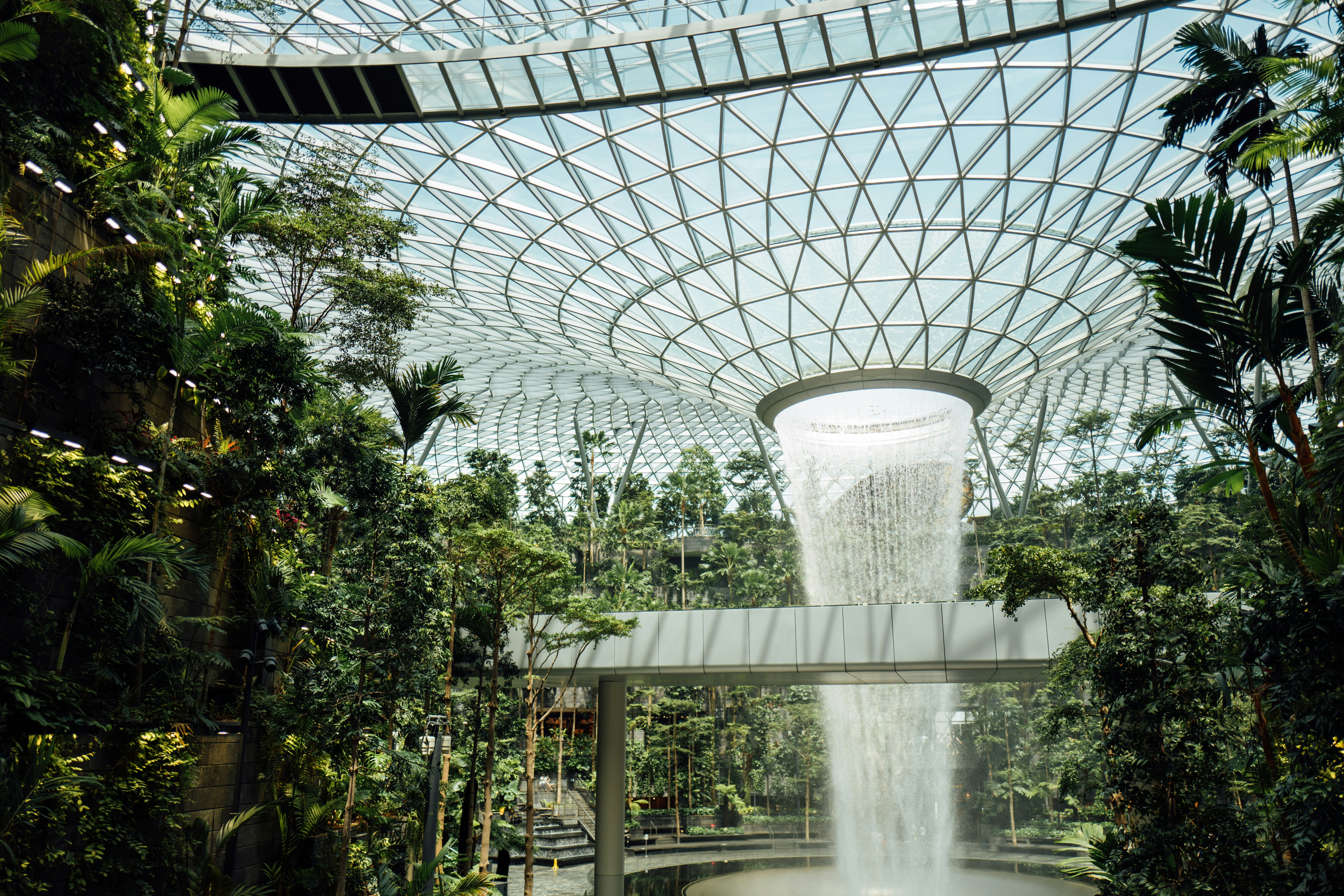 Photo by chuttersnap