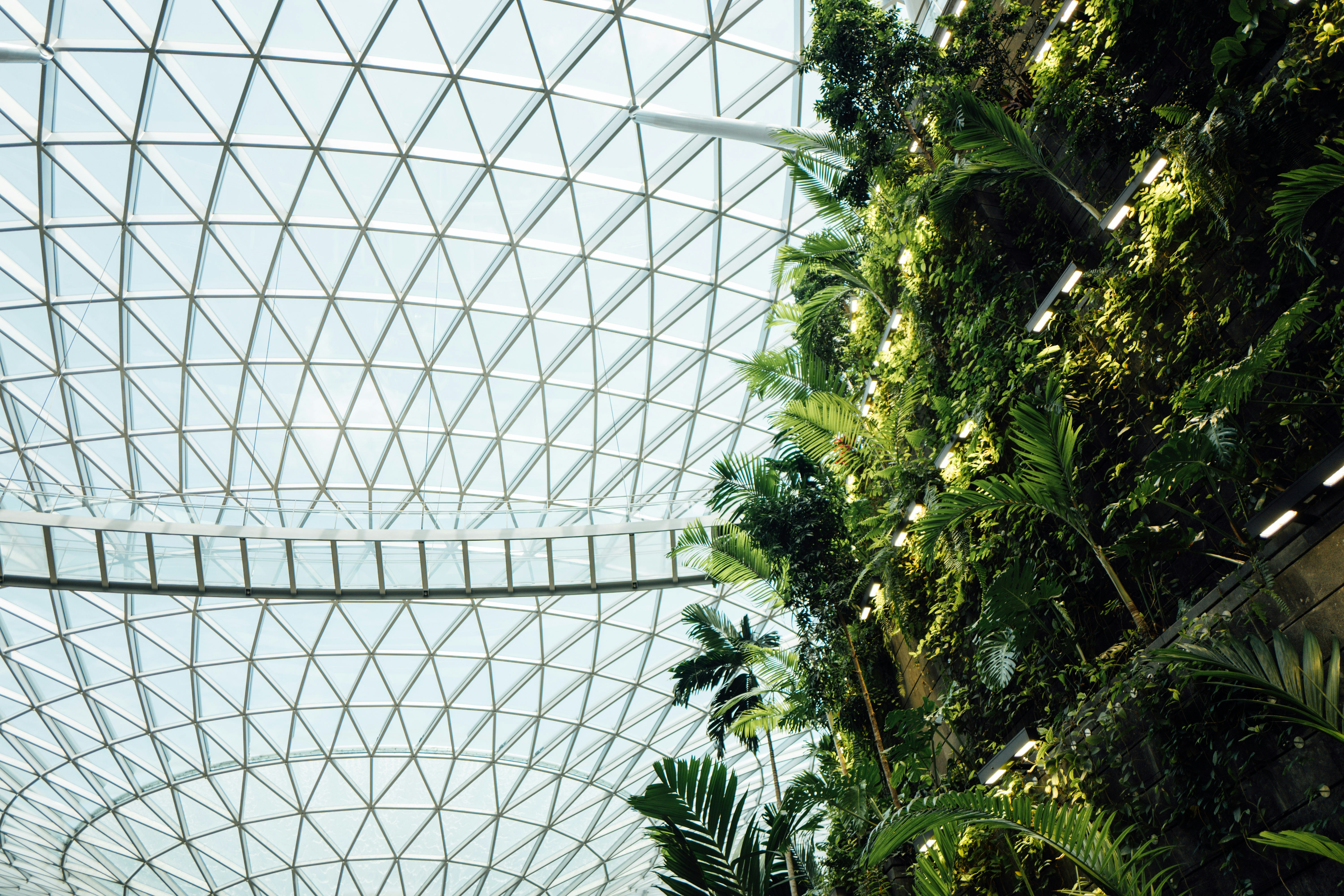 Photo by chuttersnap