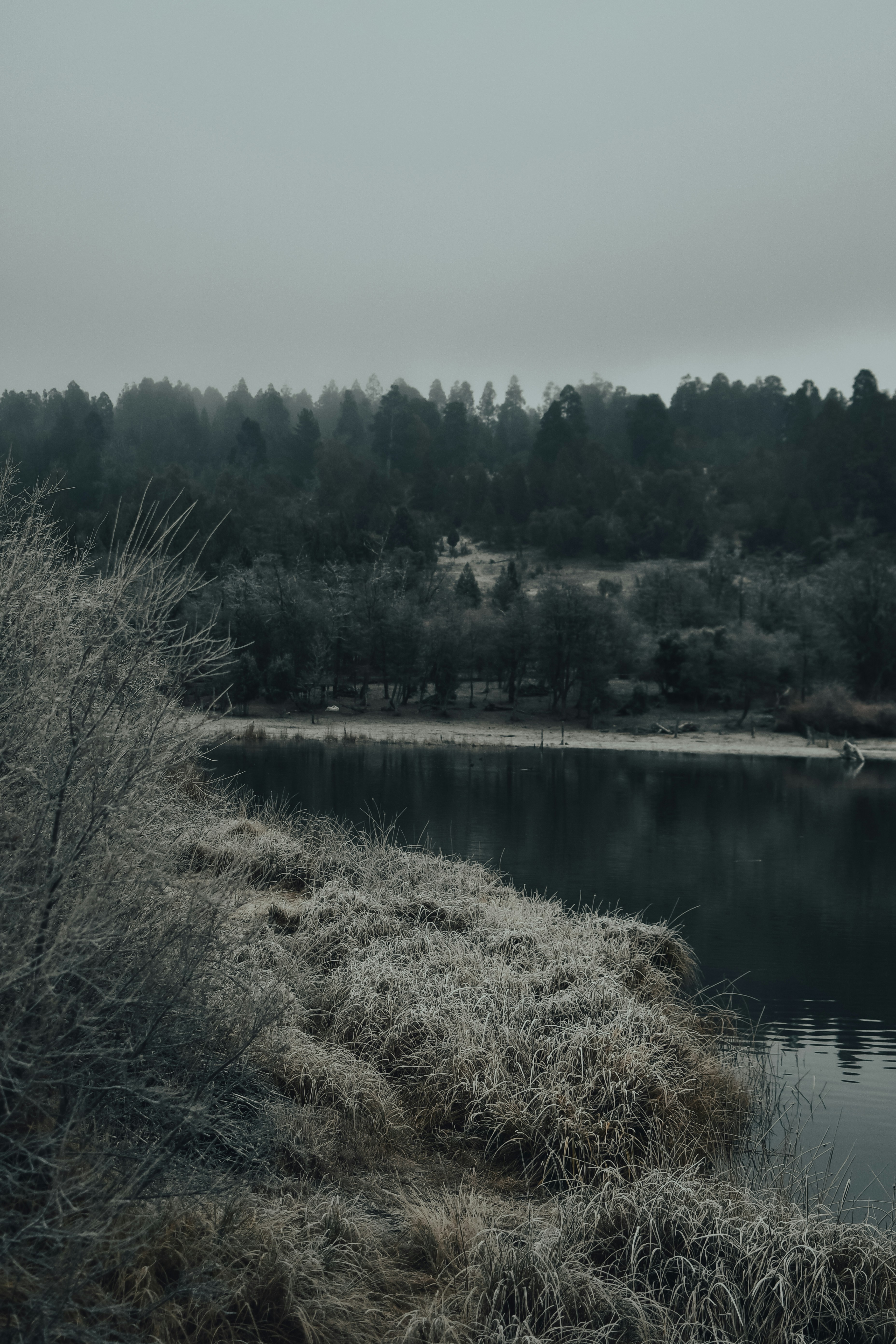Photo by gasparzaldo