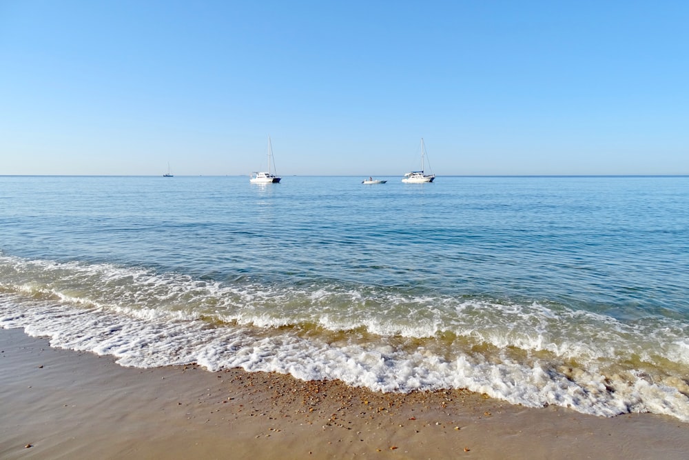 white sail boat on sea during daytime