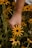 person holding yellow petaled flower