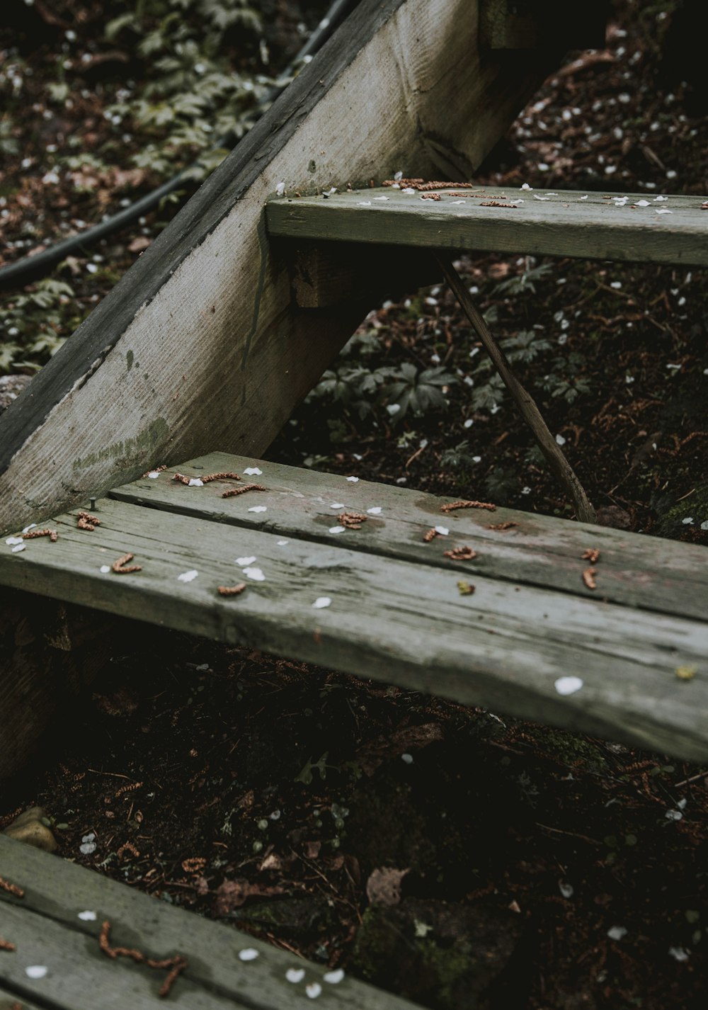 brown wooden bench on brown soil