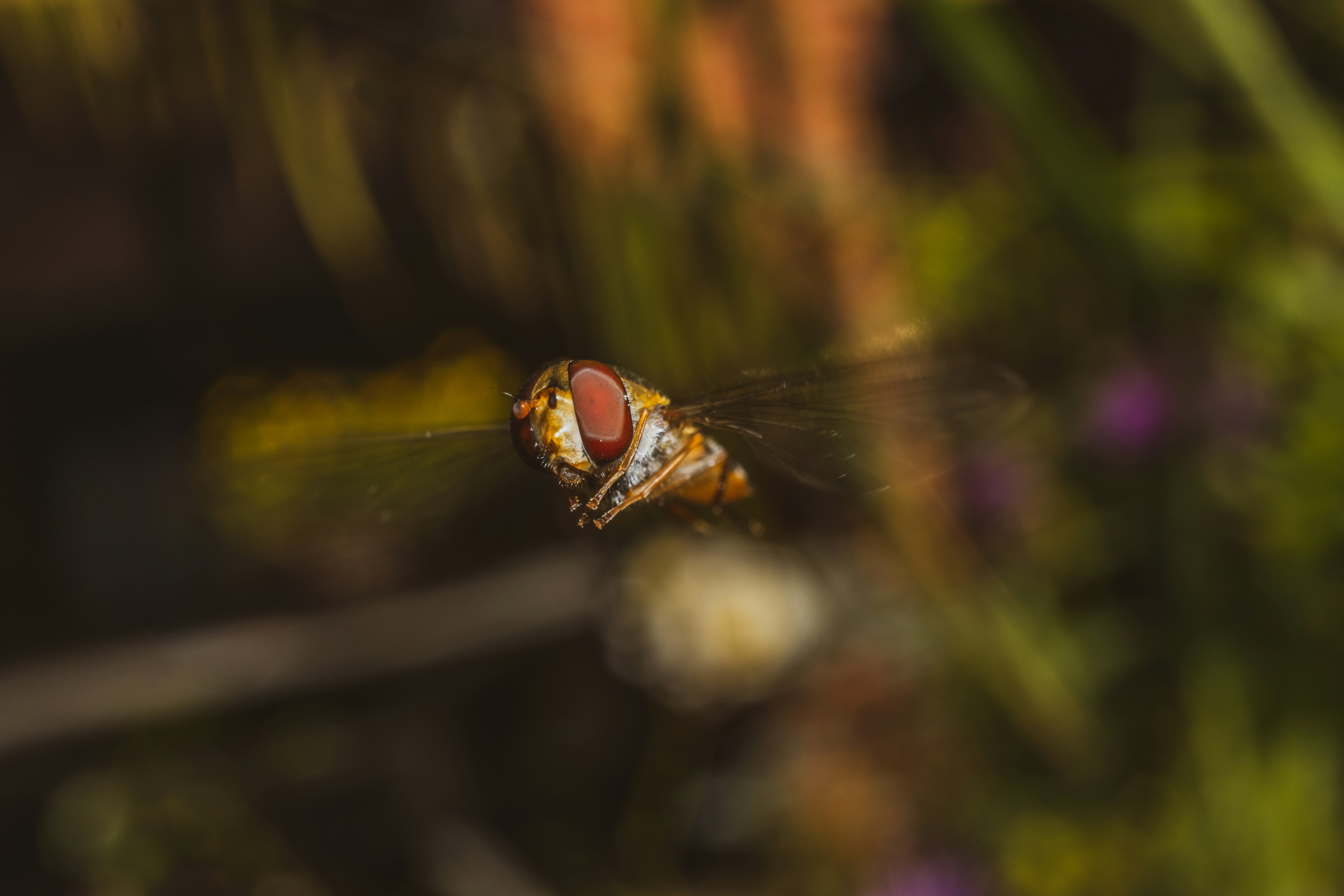 Photo by grievek1610begur