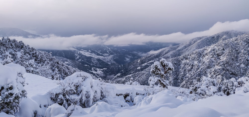 snow covered mountain during daytime