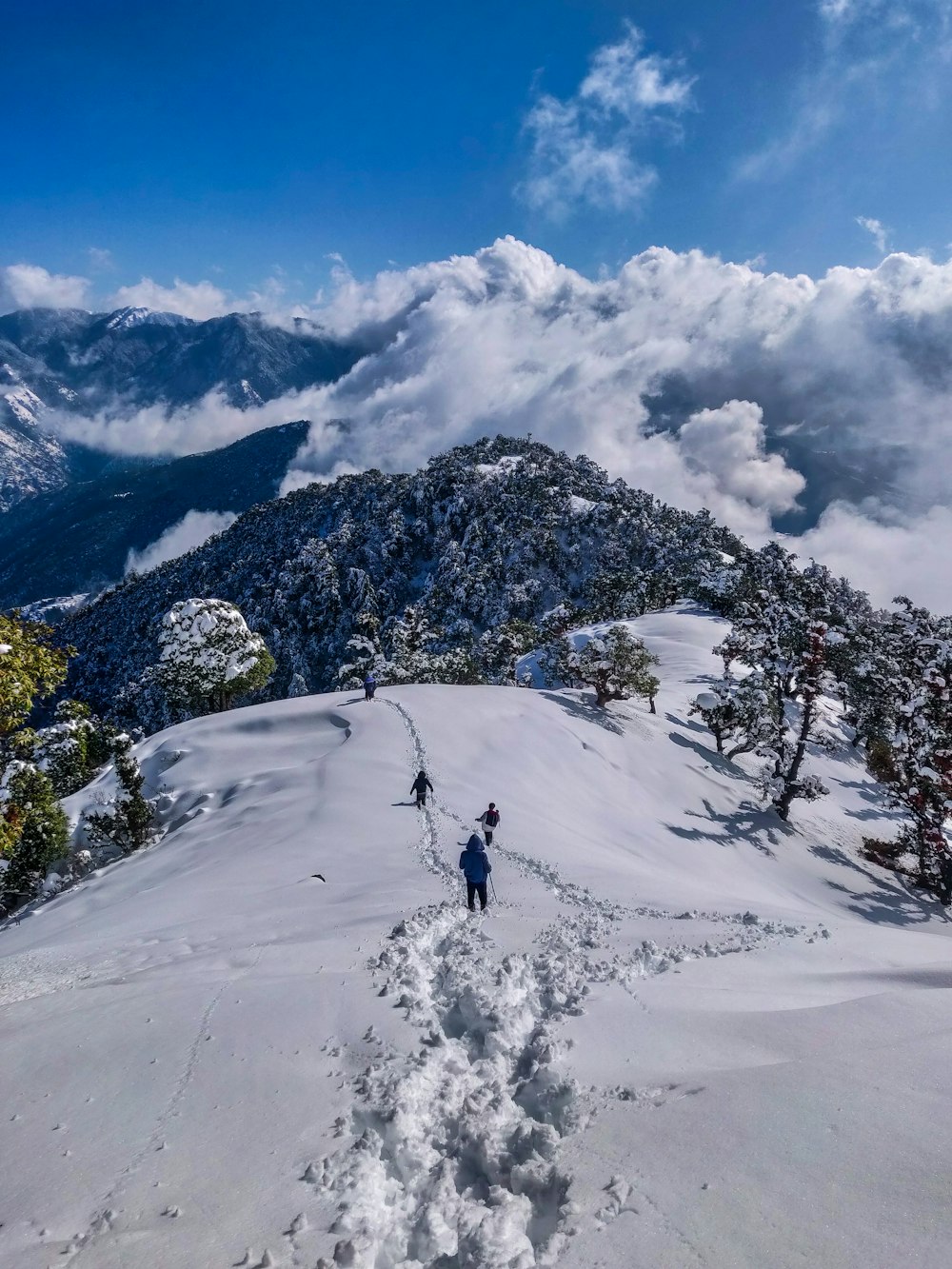 Person in schwarzer Jacke und schwarzer Hose, die tagsüber auf einem schneebedeckten Berg steht